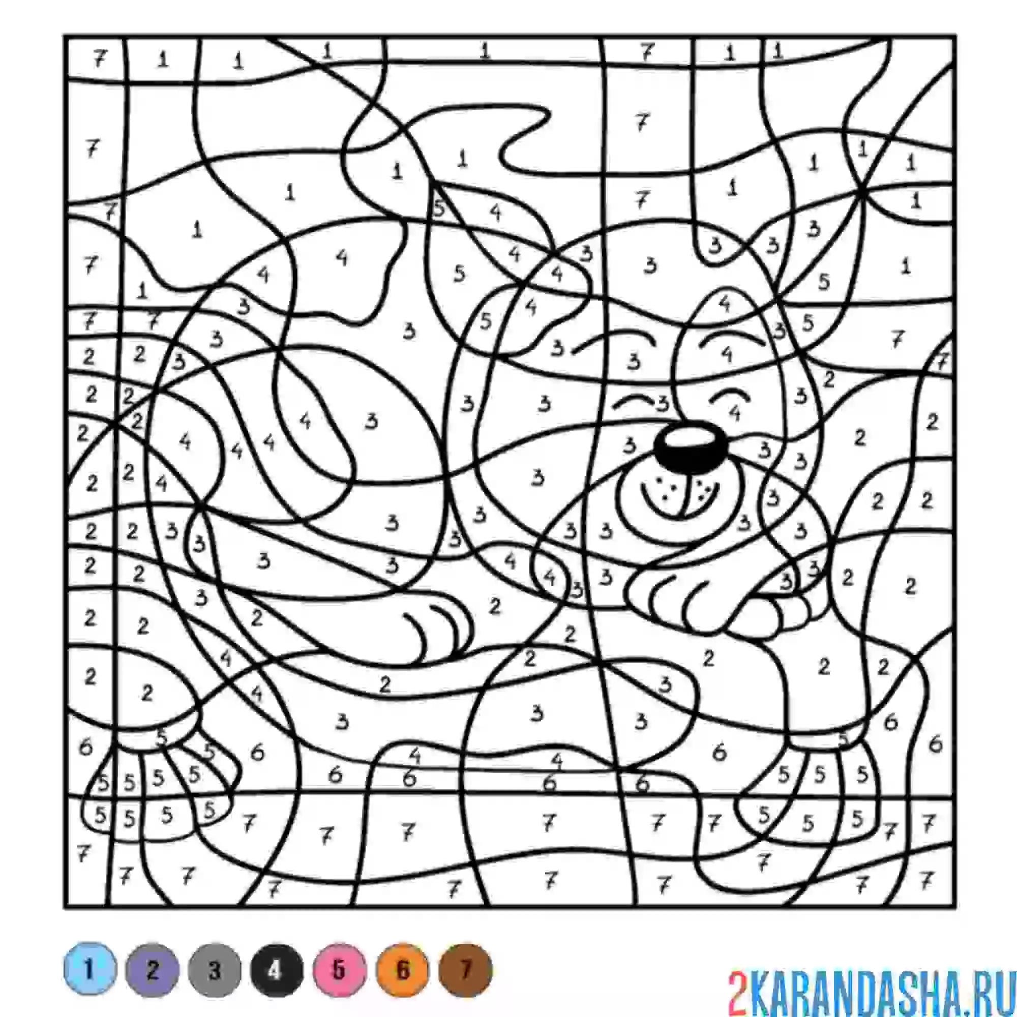 Раскраска по номерам: милый котик спит