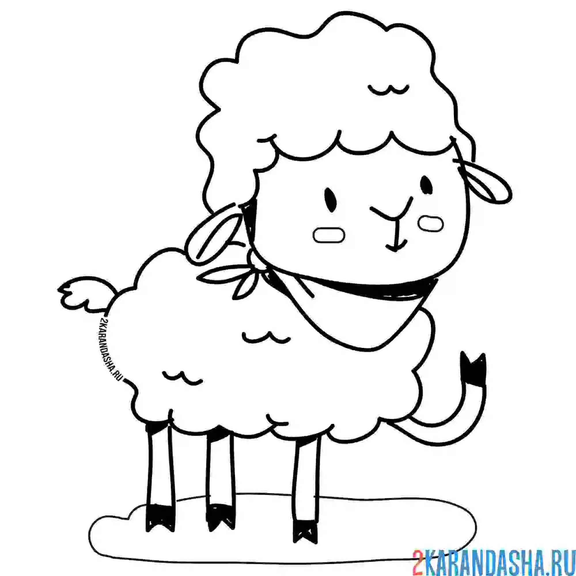 Раскраска овечка в банадане