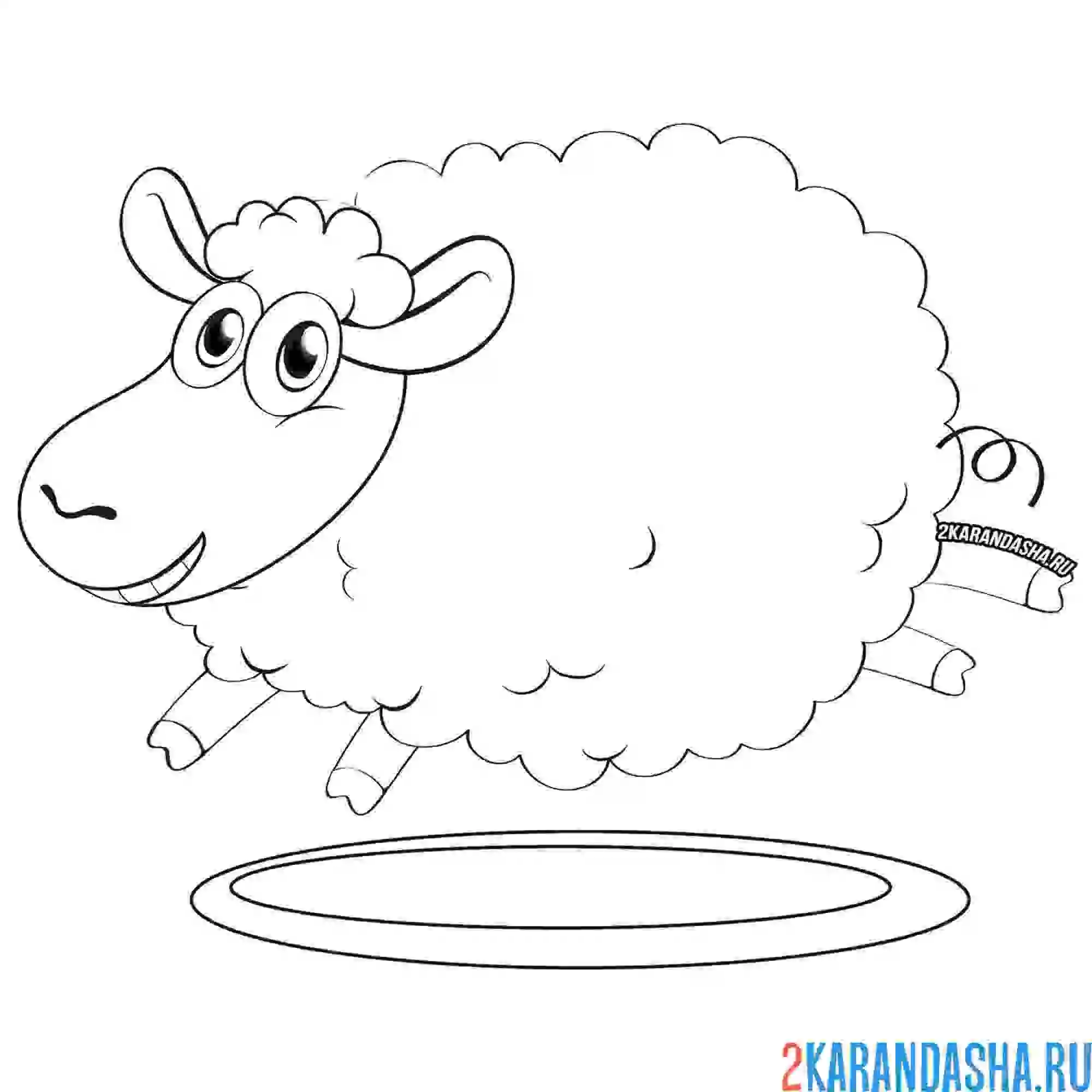 Раскраска блеющая овца