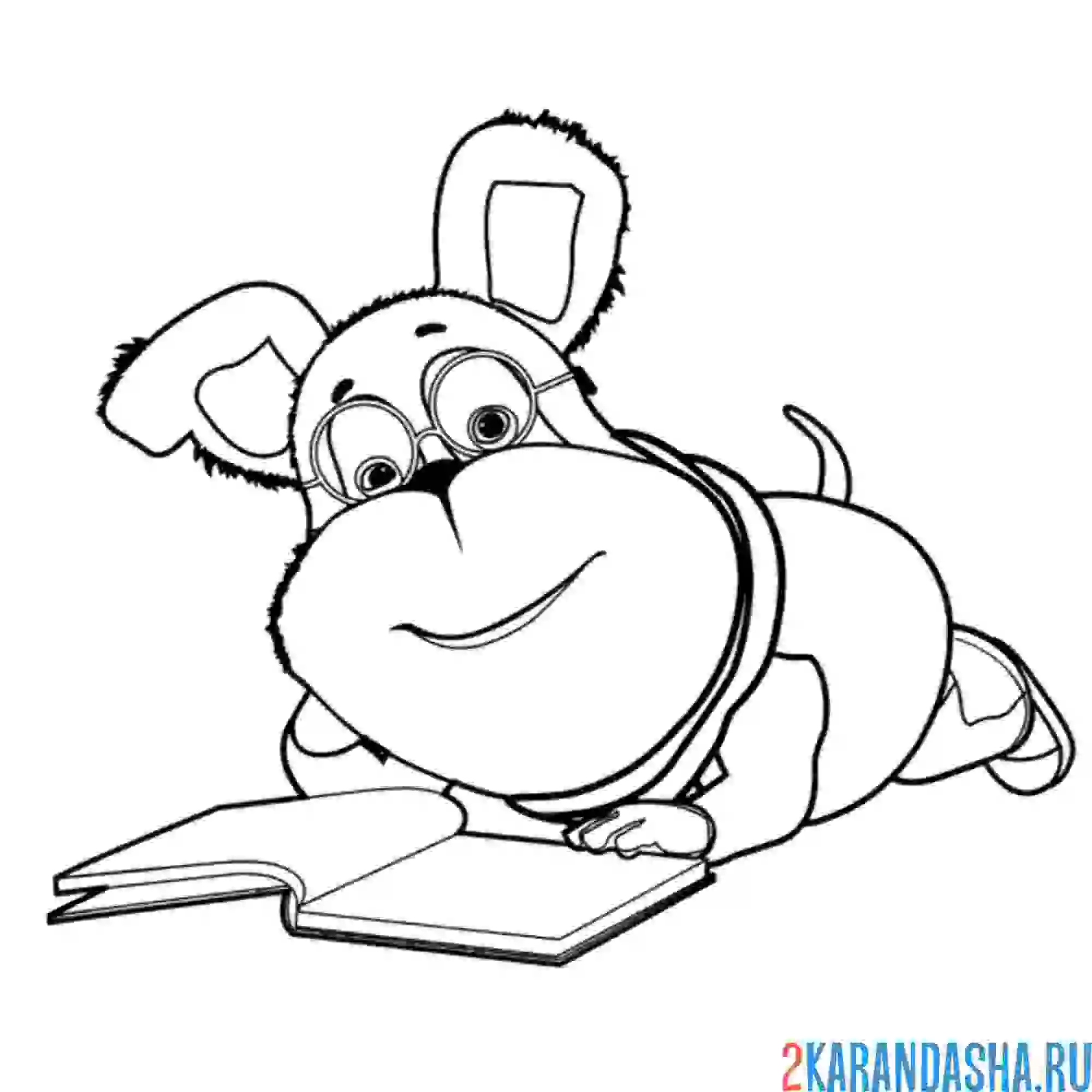 Раскраска гена читает книгу