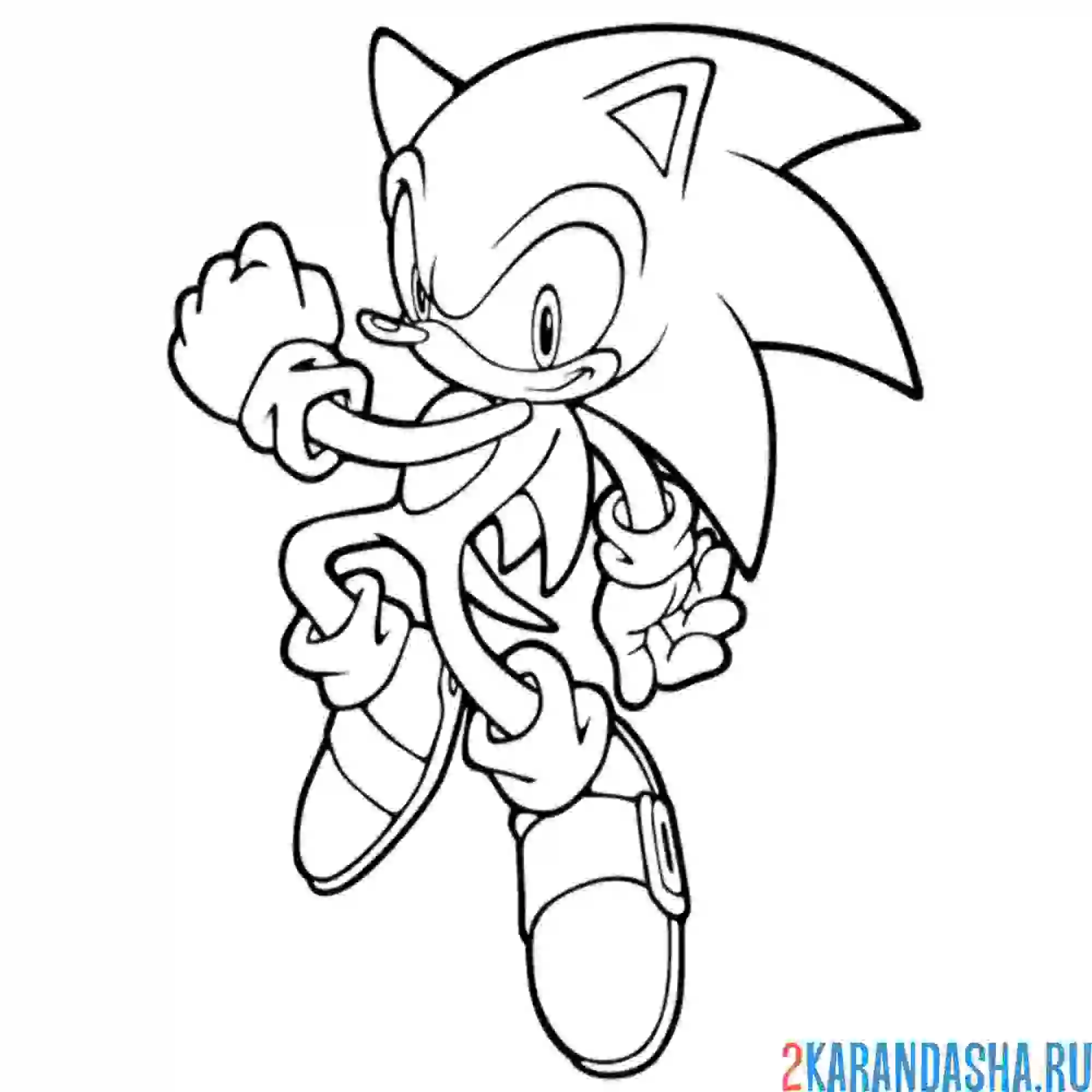 Раскраска соник храбрый