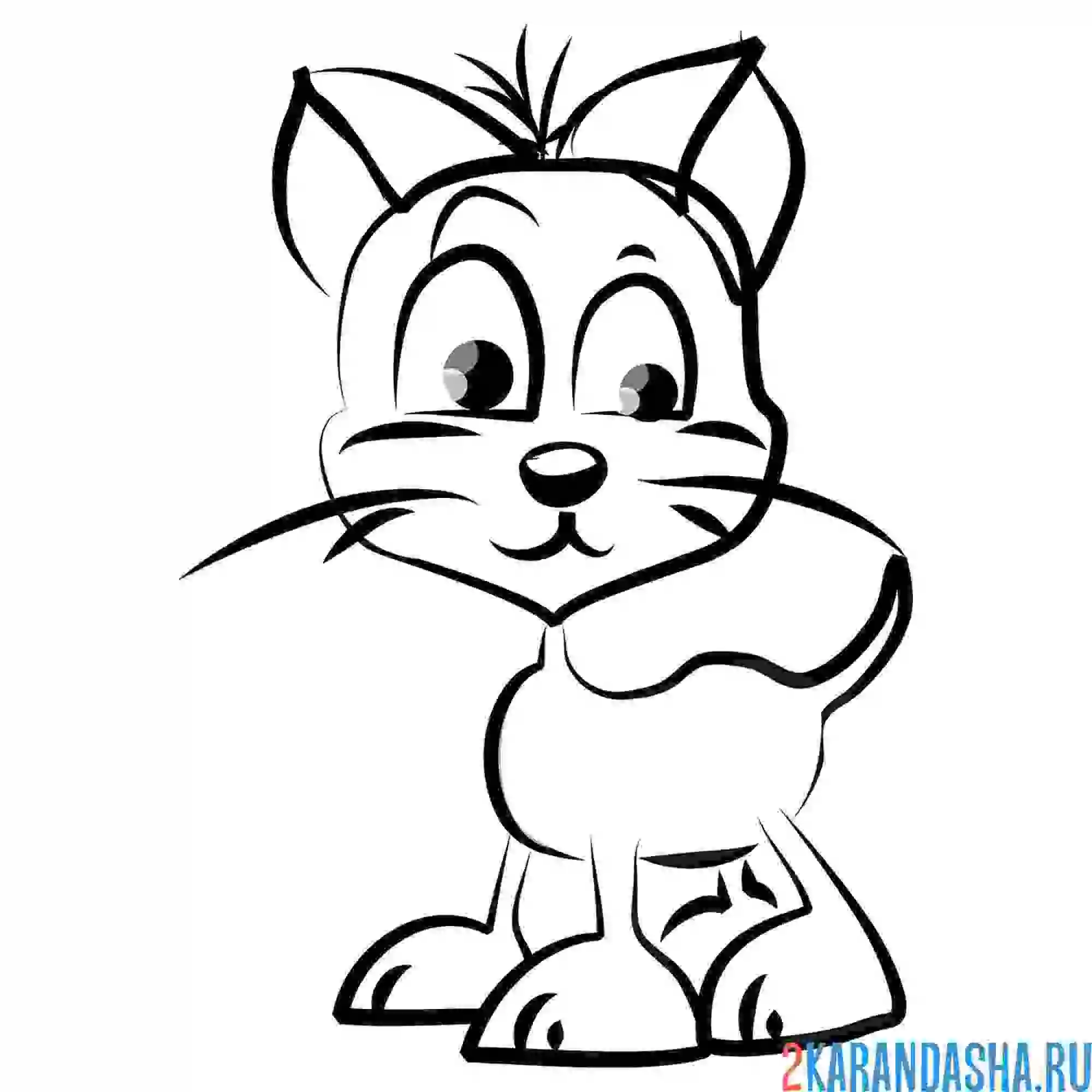 Раскраска уличный кот