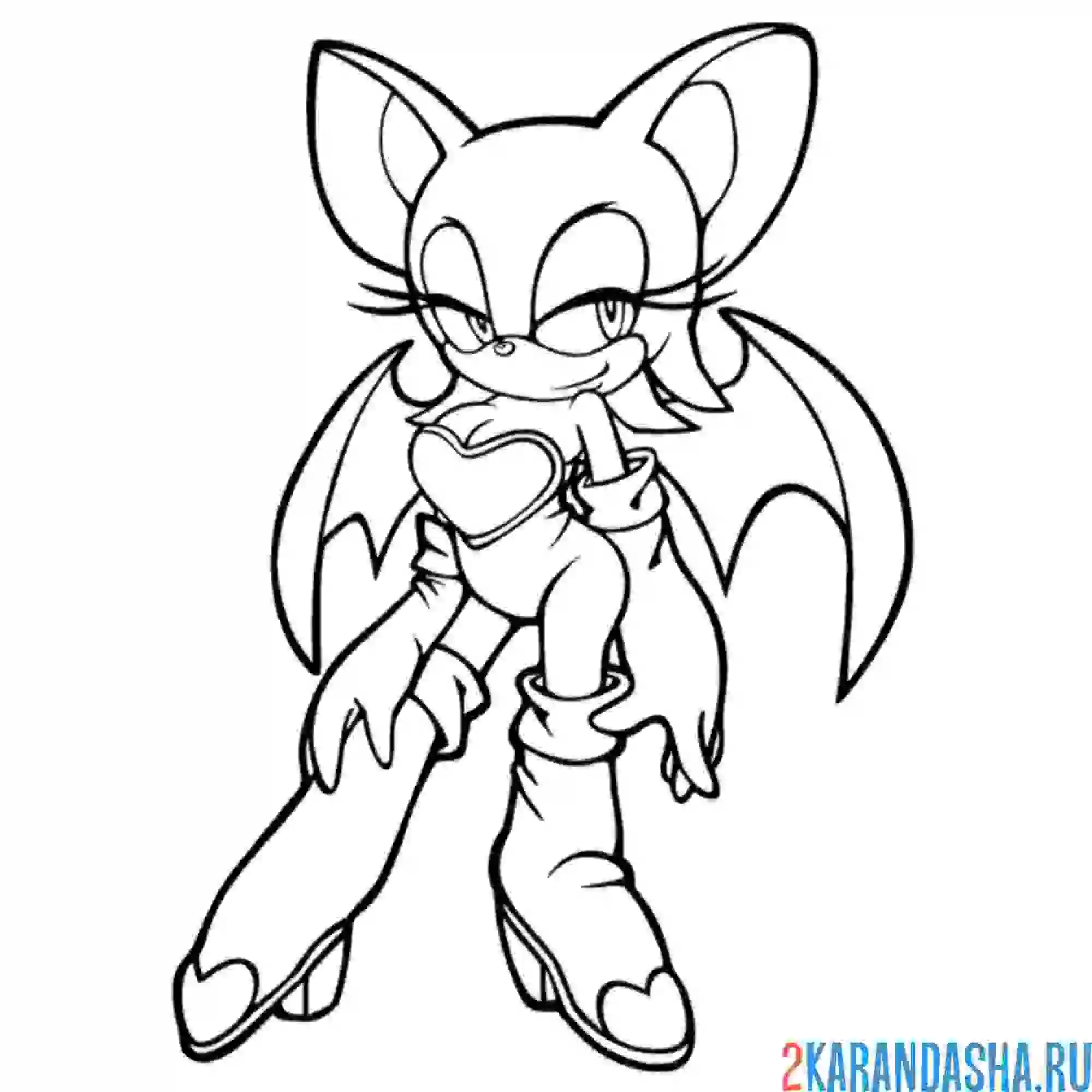 Раскраска руж