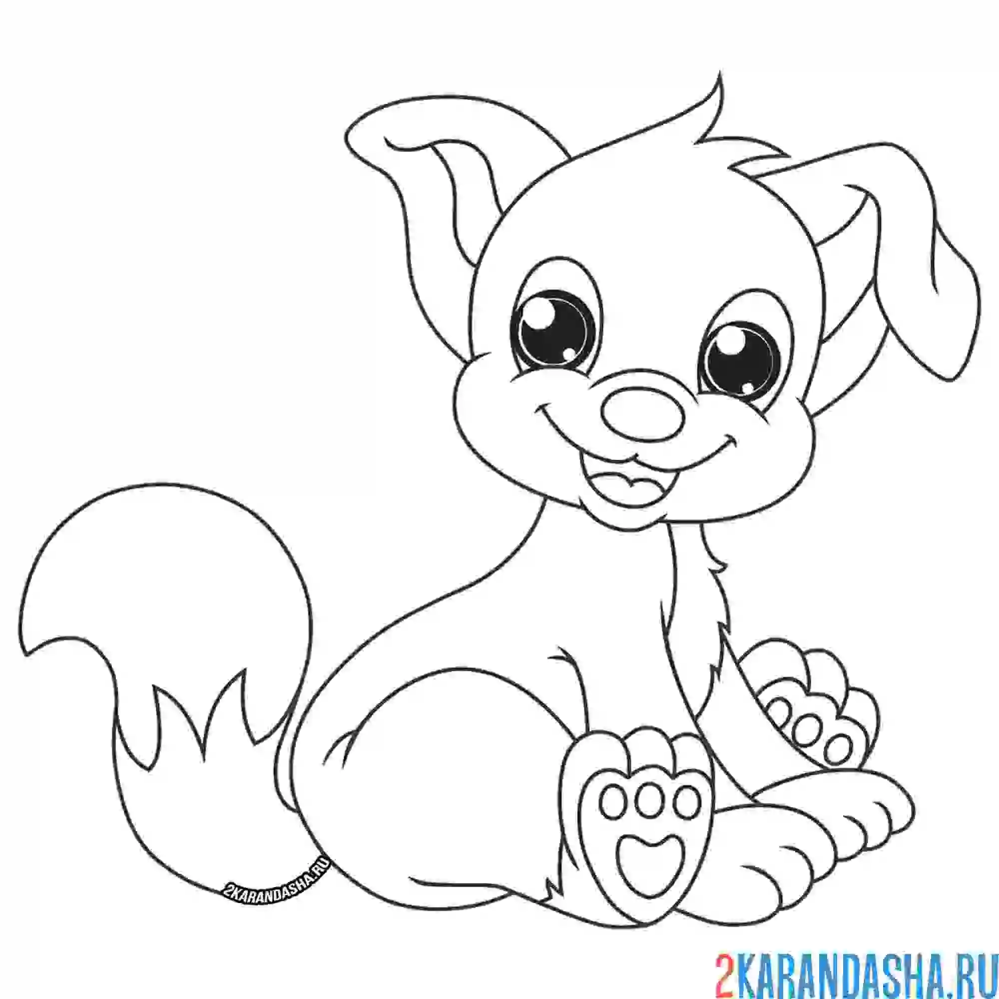 Раскраска щенок с пушистым хвостом