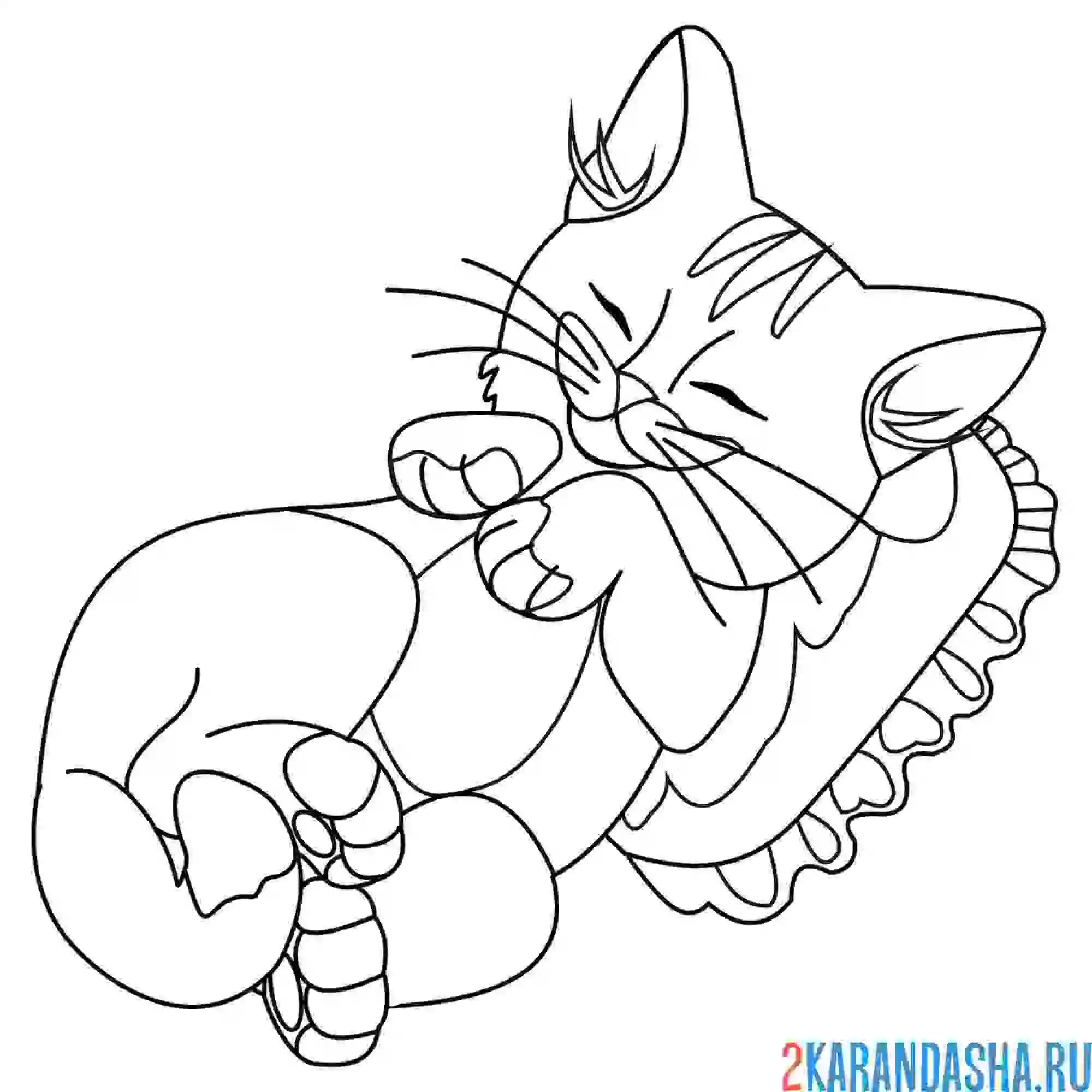 Раскраска кошечка спит на подушке