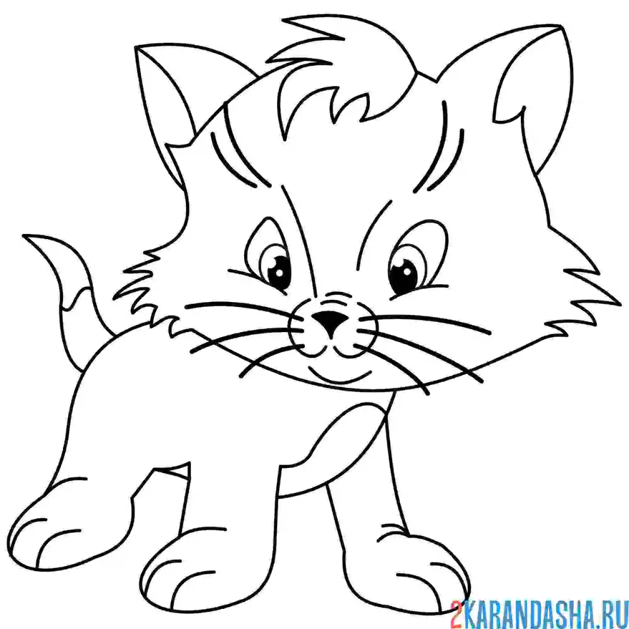 Раскраска усатый котенок