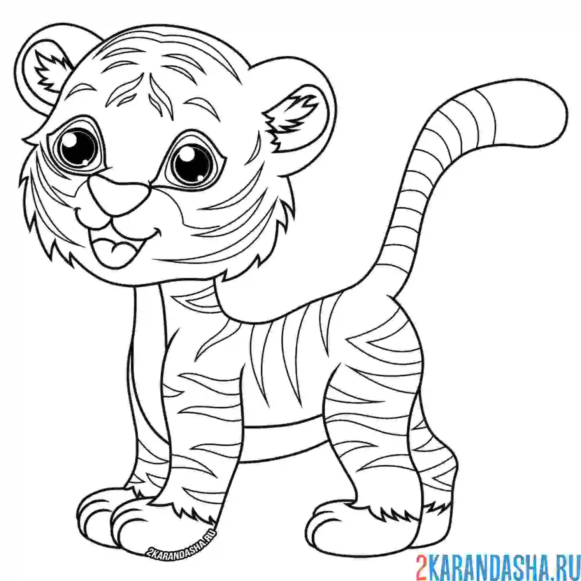 Раскраска забавный тигренок