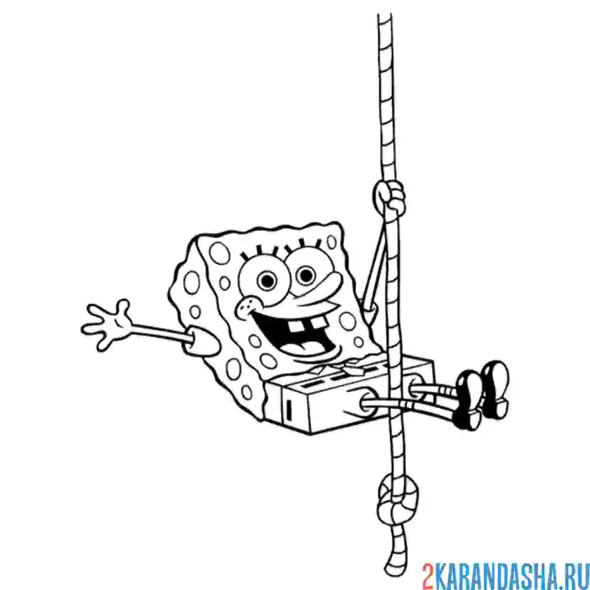 Раскраска губка боб катается на канате