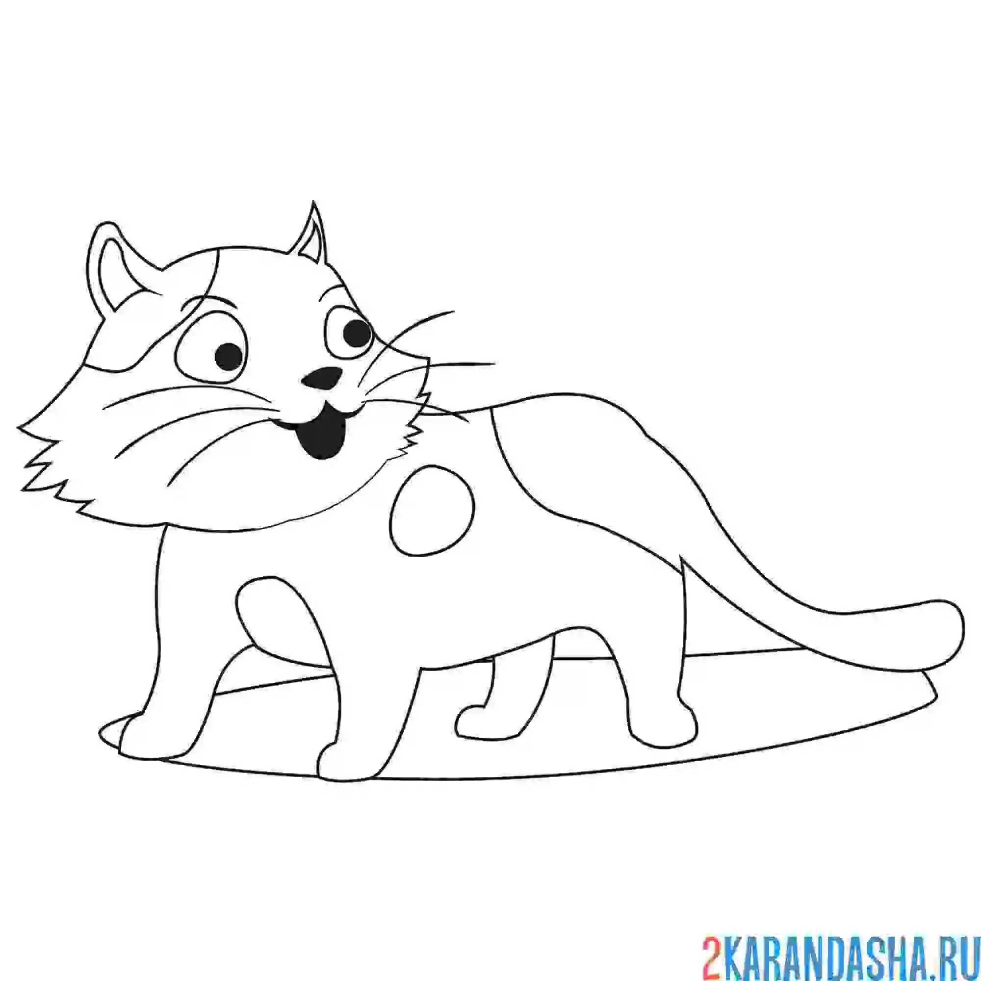 Раскраска домашний котик
