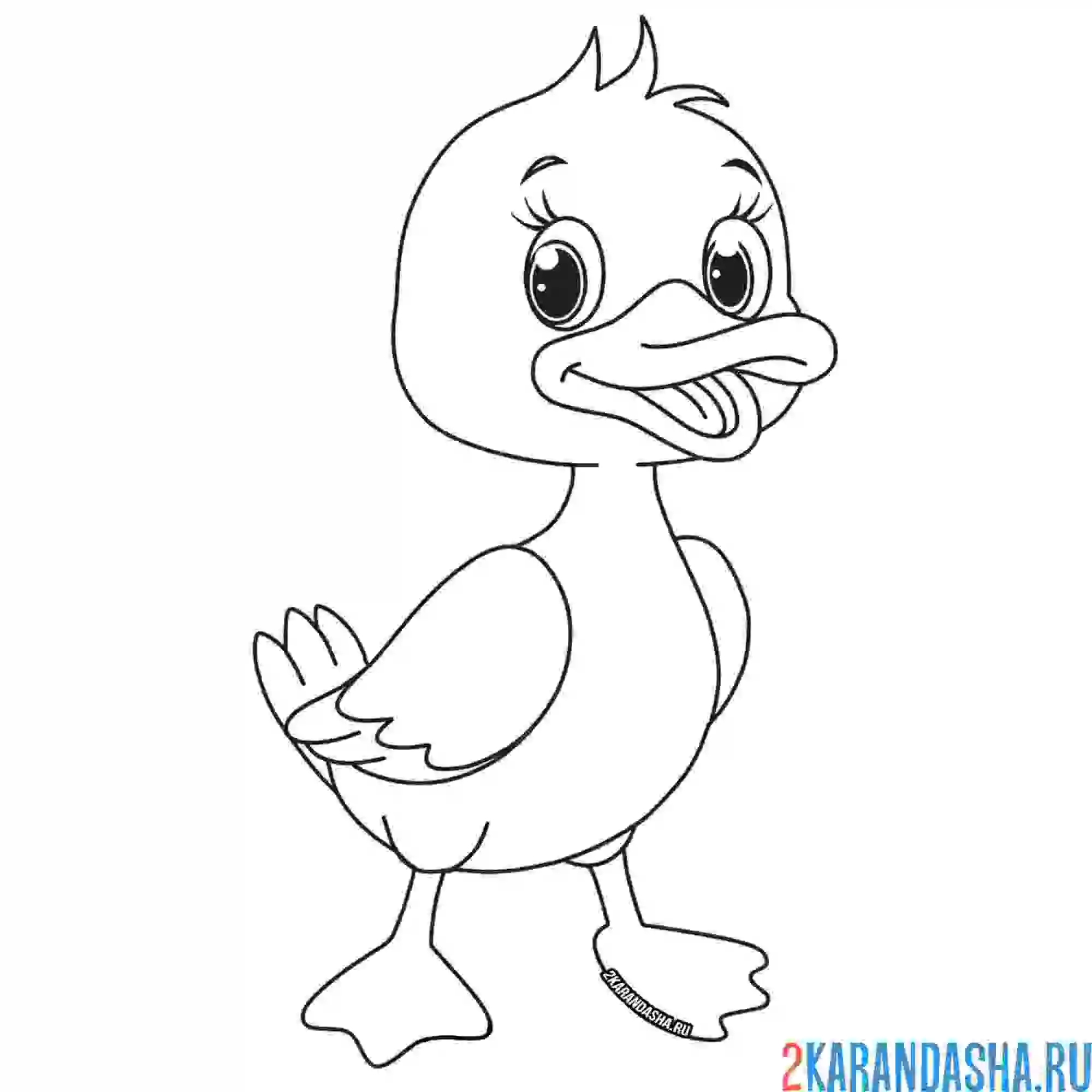 Раскраска маленький утенок