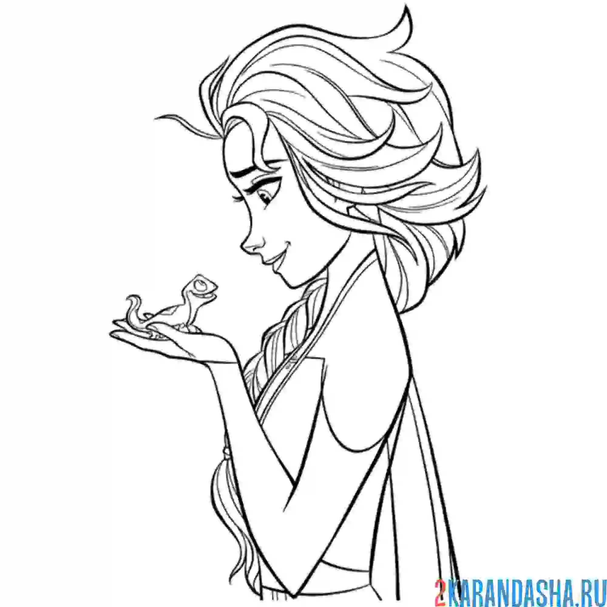 Раскраска эльза и бруни: ящерка саламандра