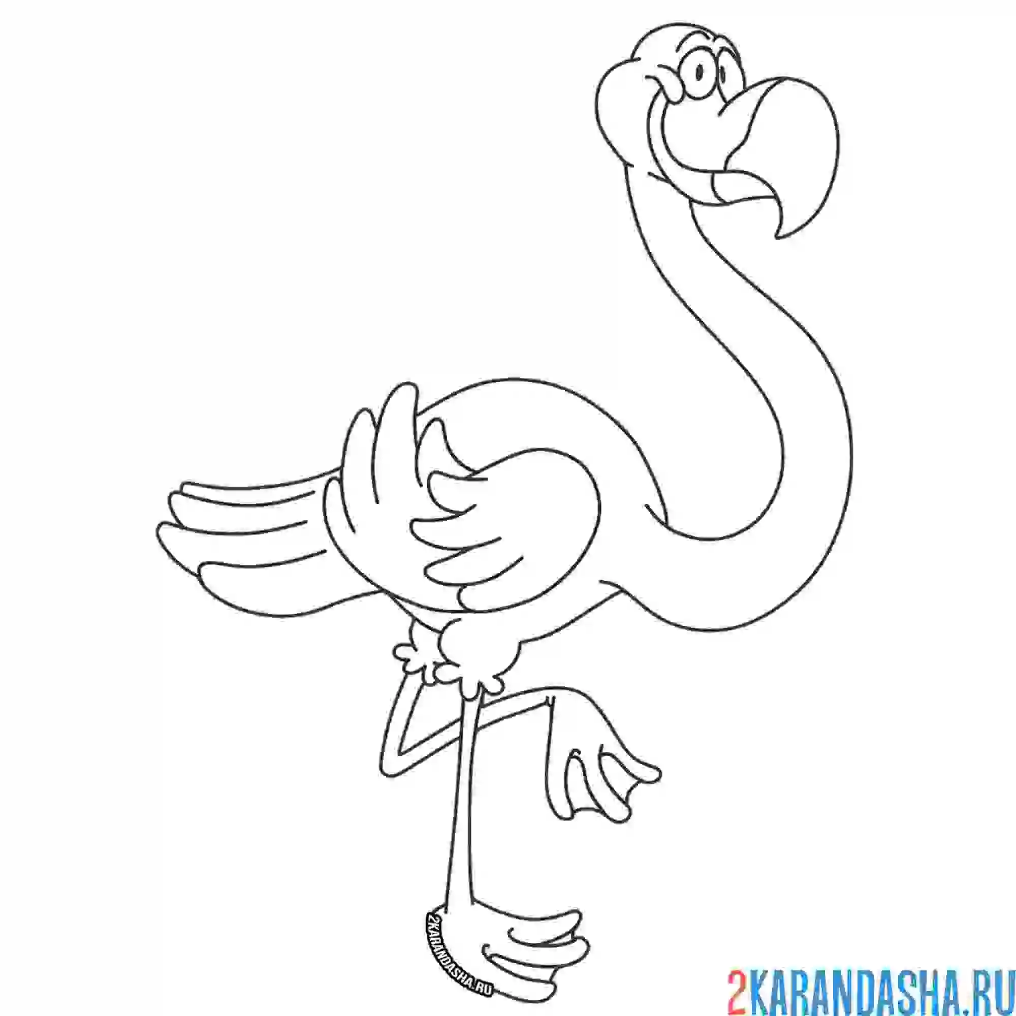 Раскраска фламинго на одной ноге