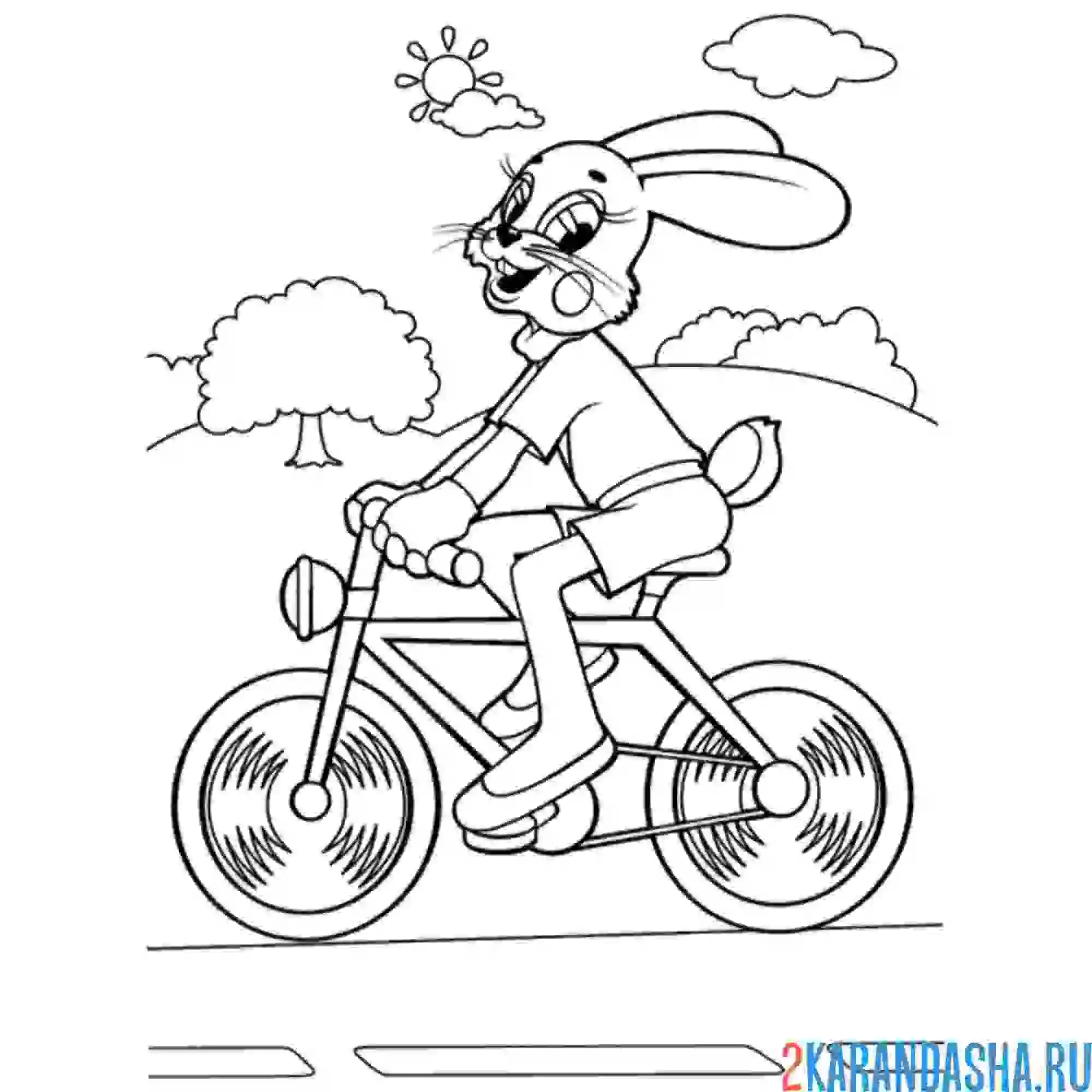Раскраска заяц на велосипеде