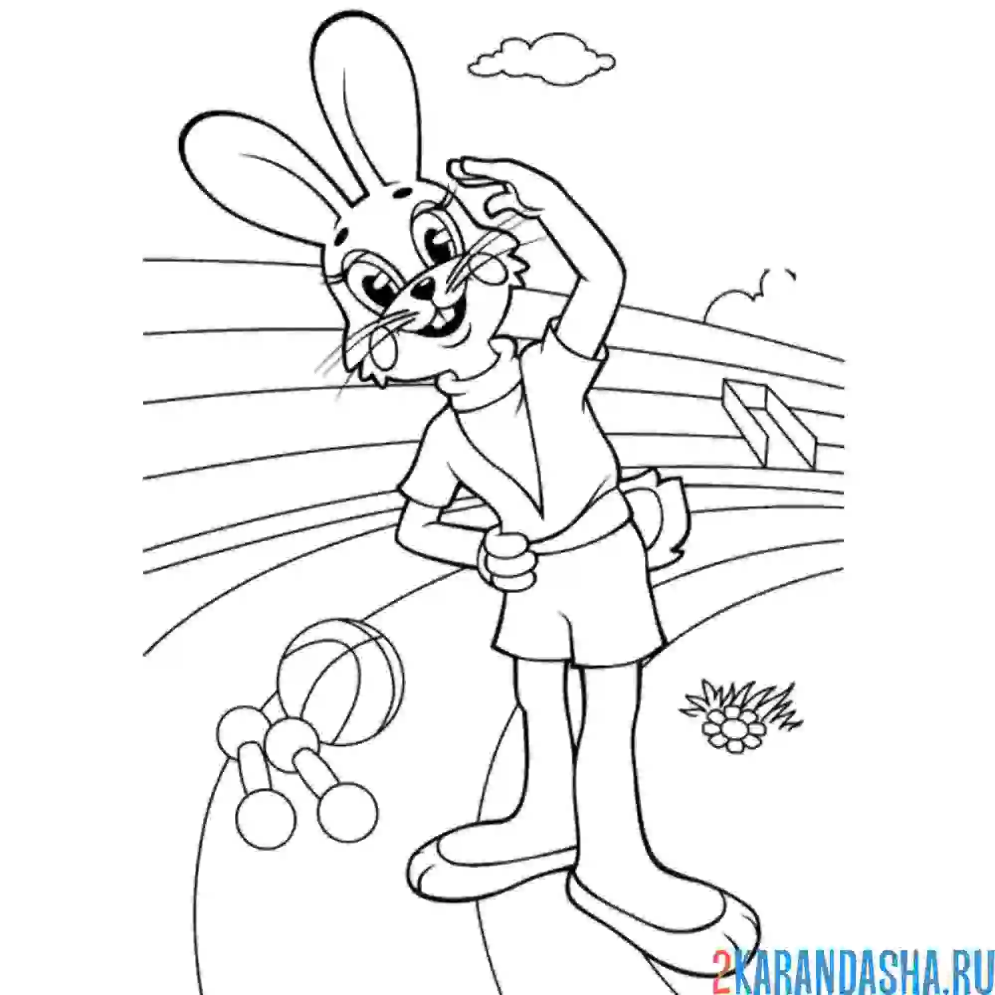 Раскраска заяц делает зарядку