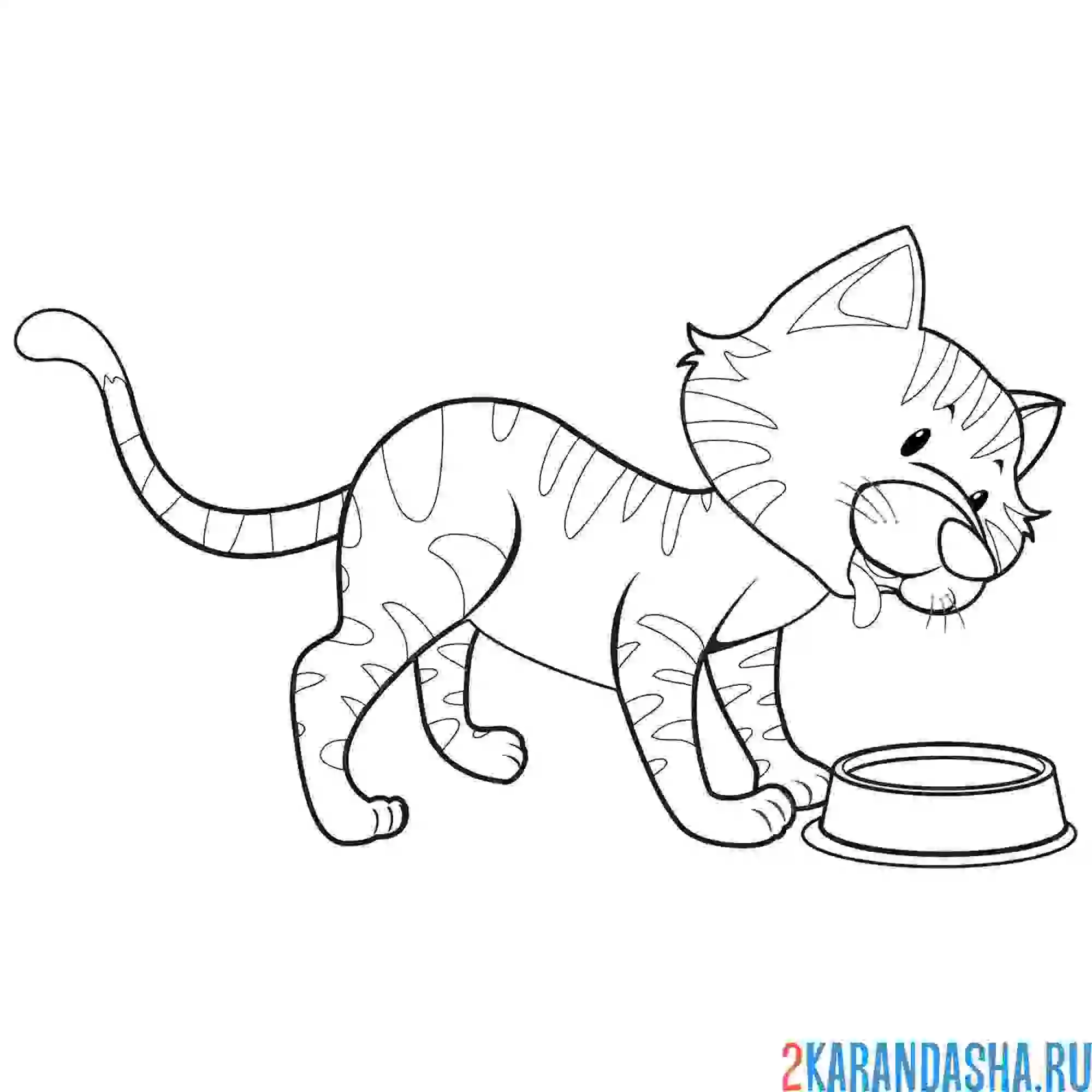 Раскраска кот у миски