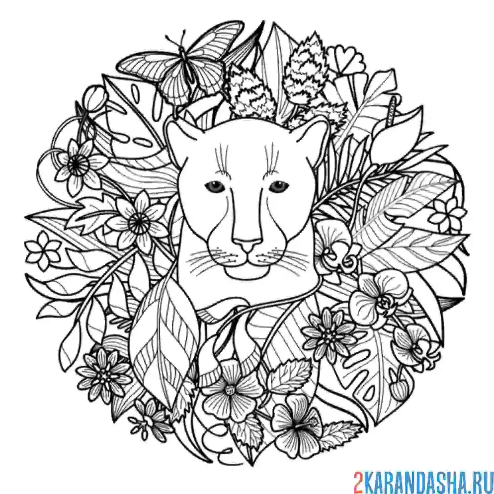 Раскраска дикая природа