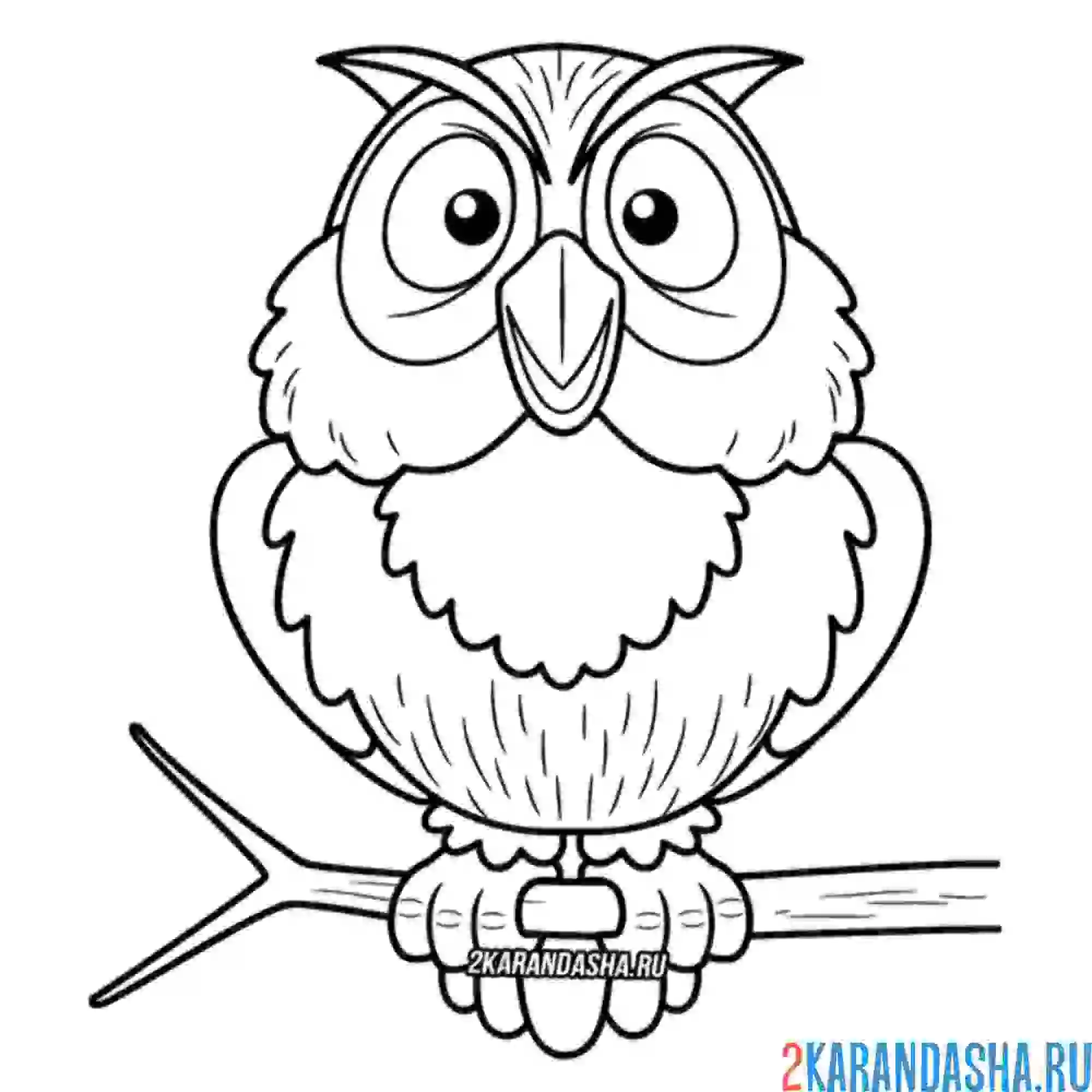 Раскраска мудрый филин