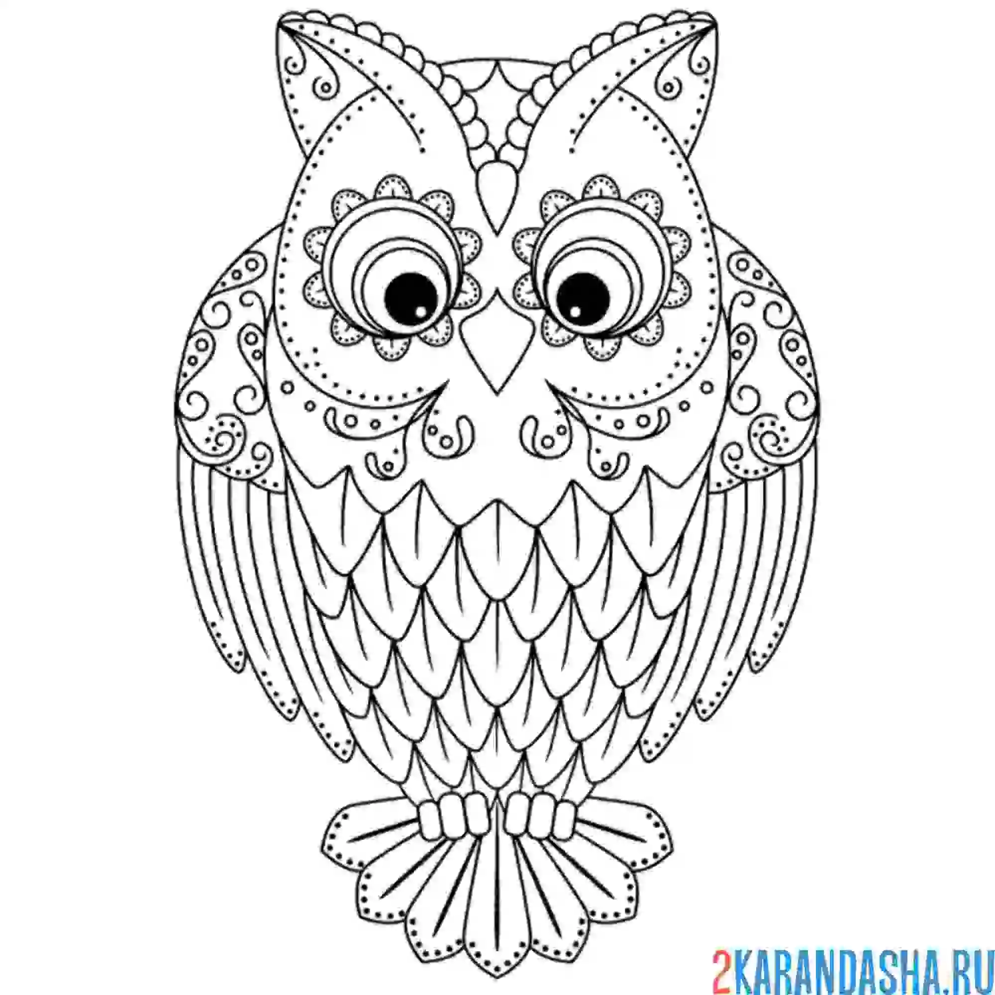 Раскраска узорчатый филин