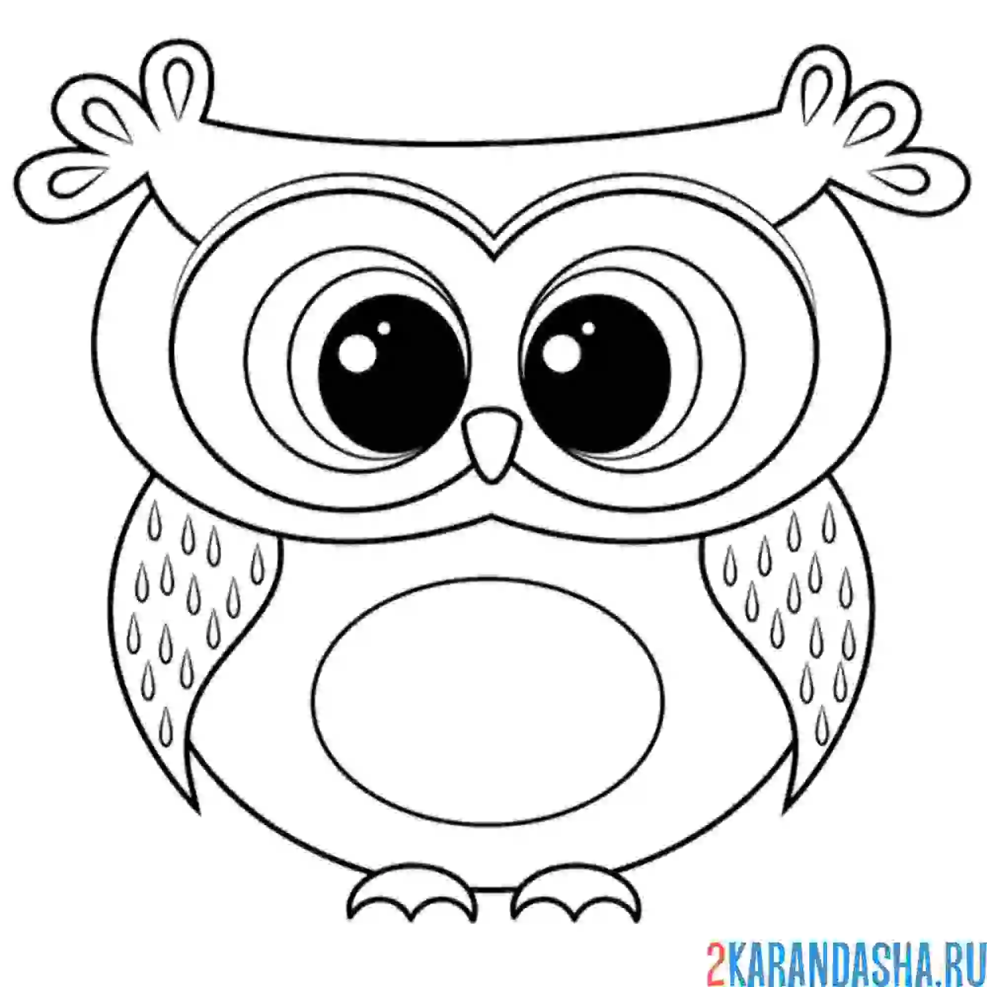 Раскраска маленький совенок