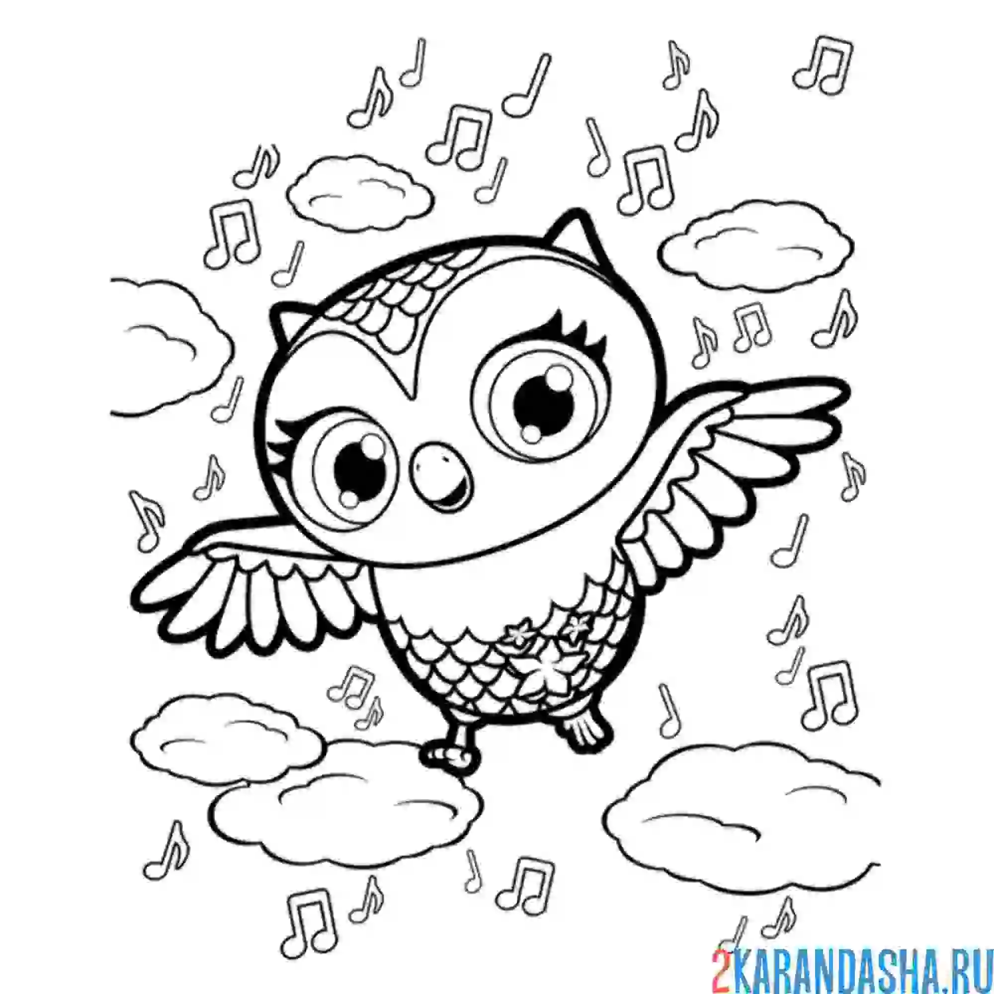 Раскраска совушка сова