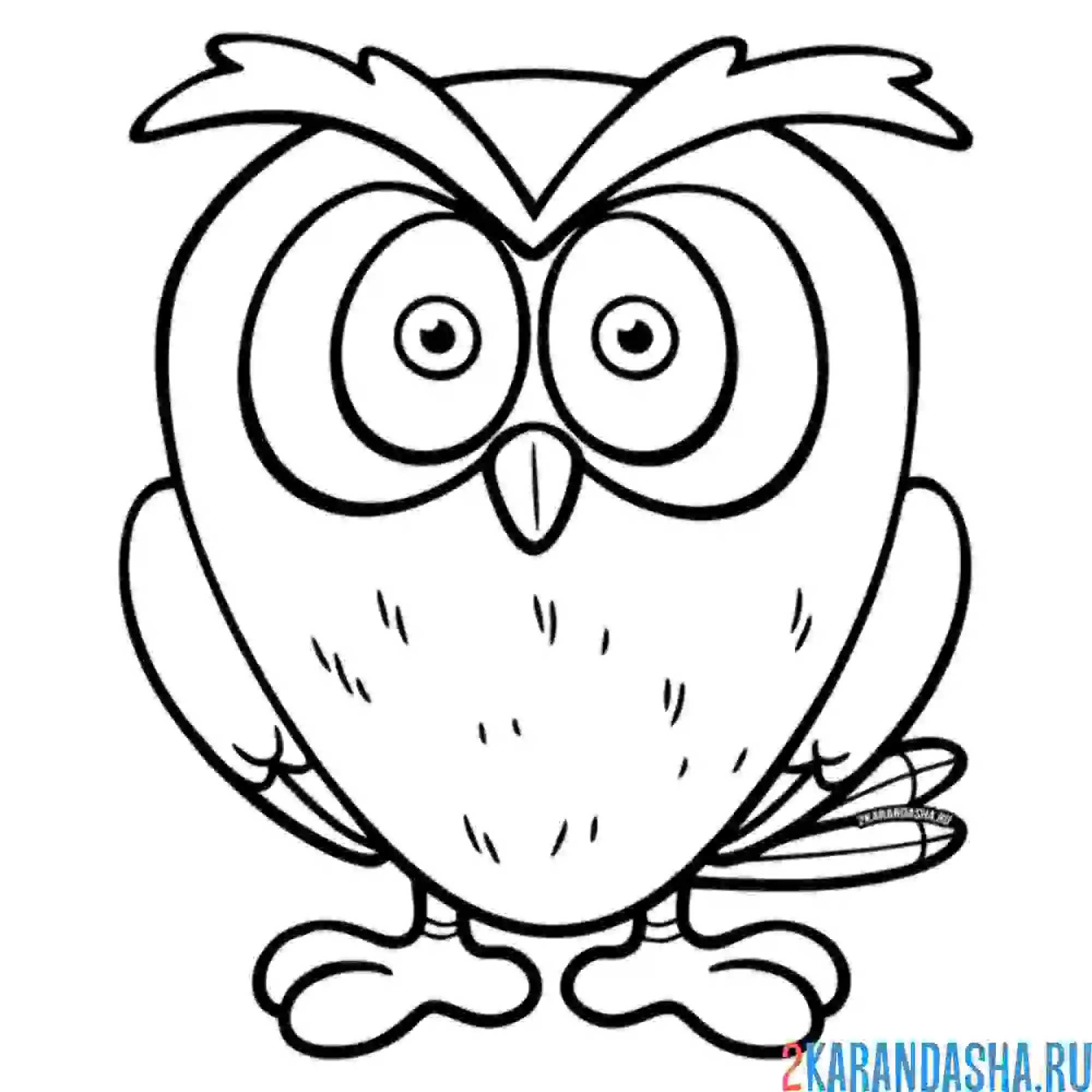 Раскраска небольшая сова