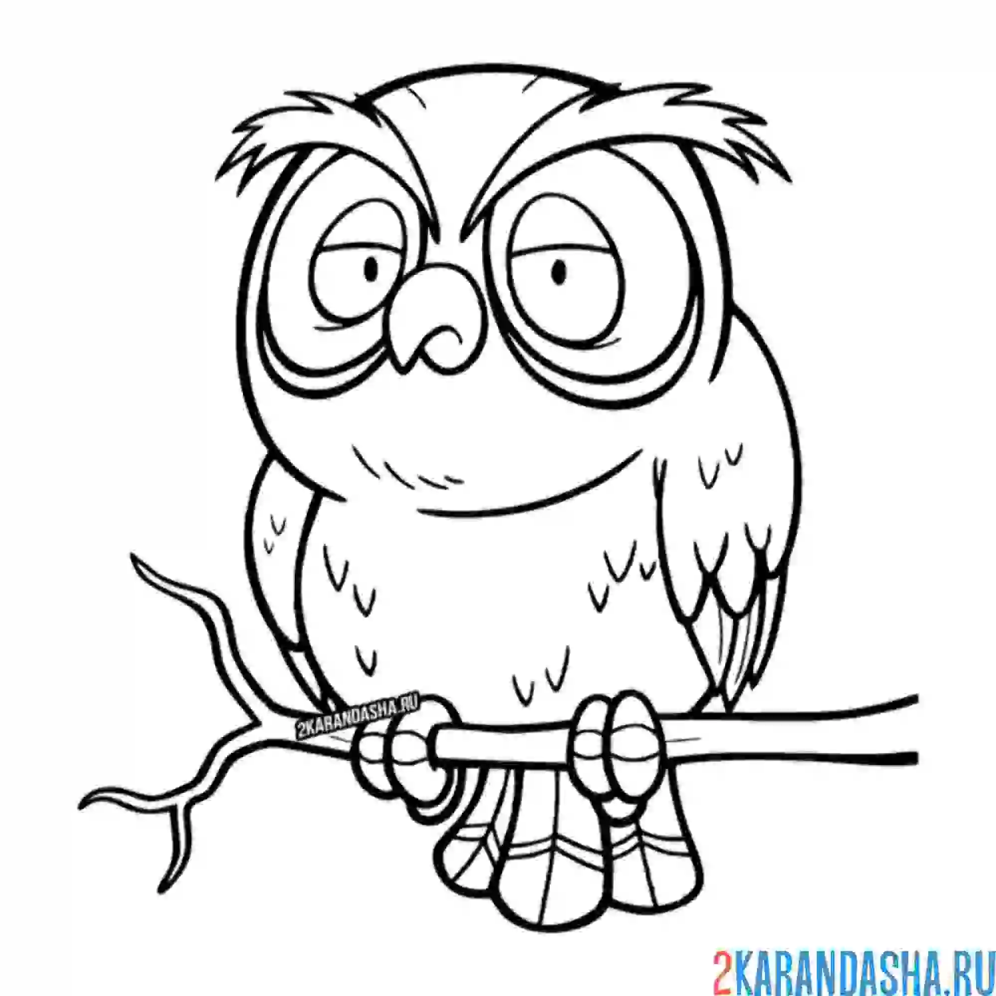 Раскраска мудрая сова