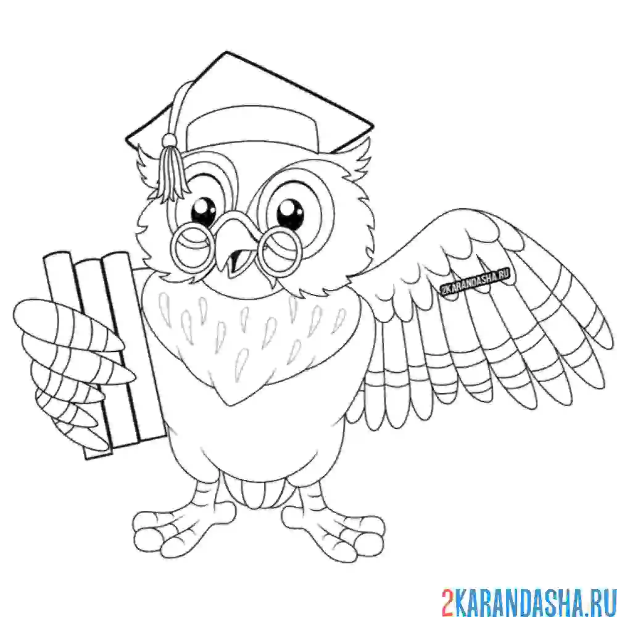 Раскраска ученый филин (сова)