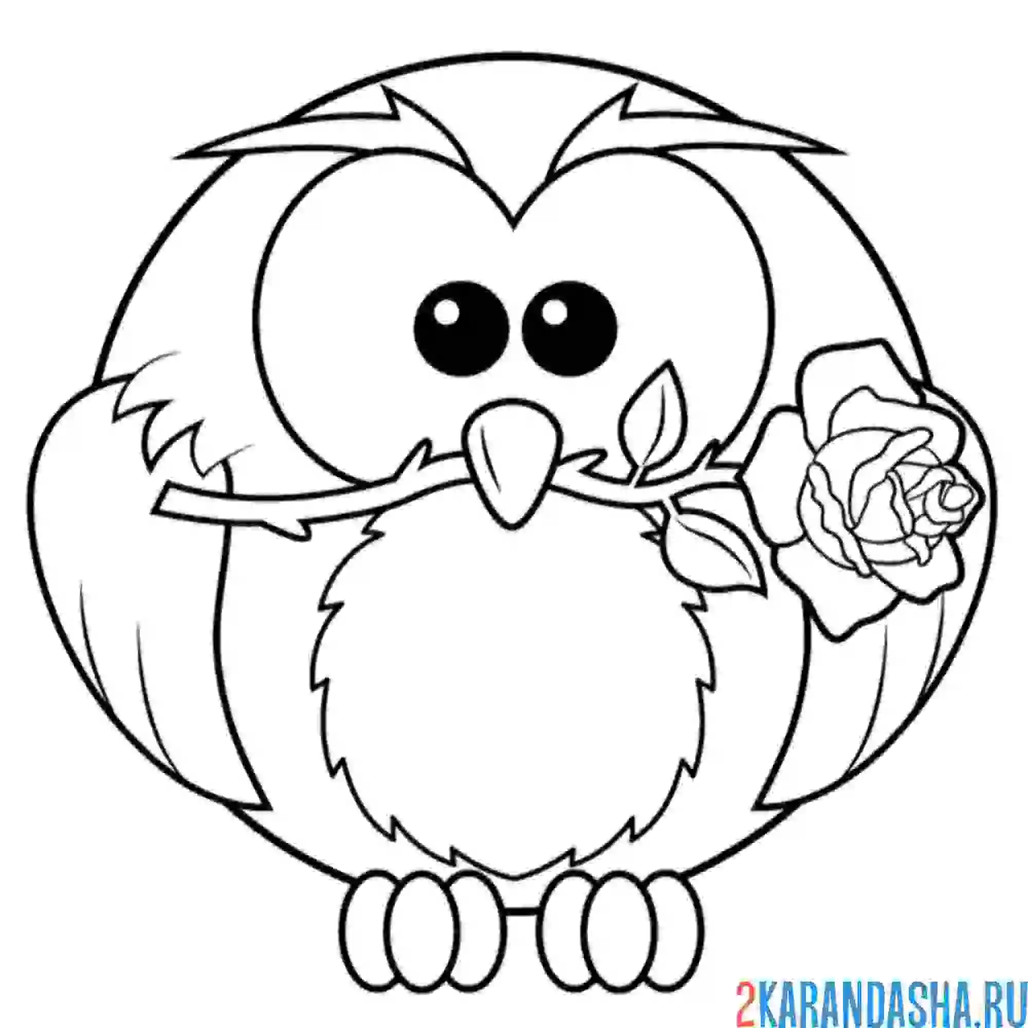 Раскраска сова с розой