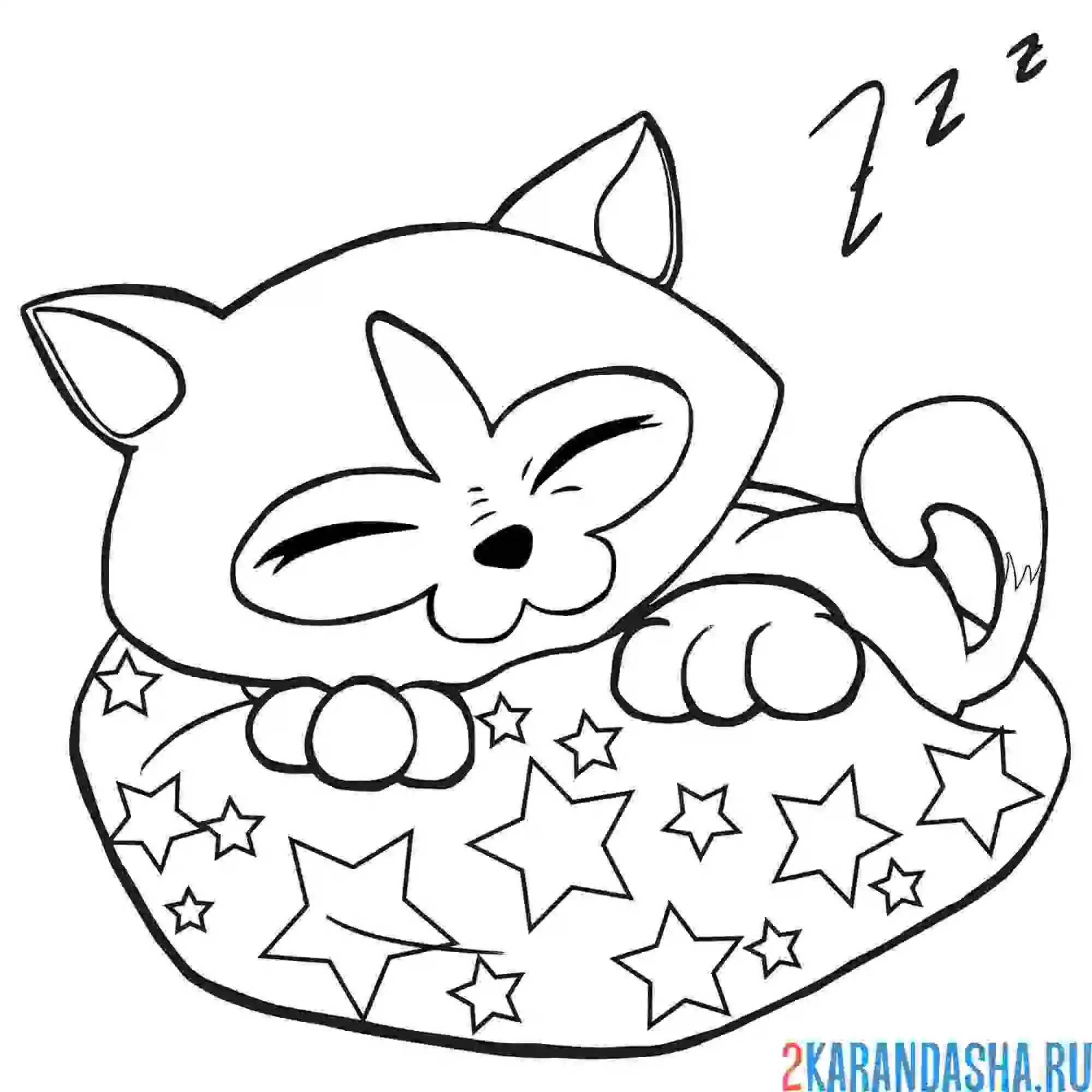 Раскраска котенок спит