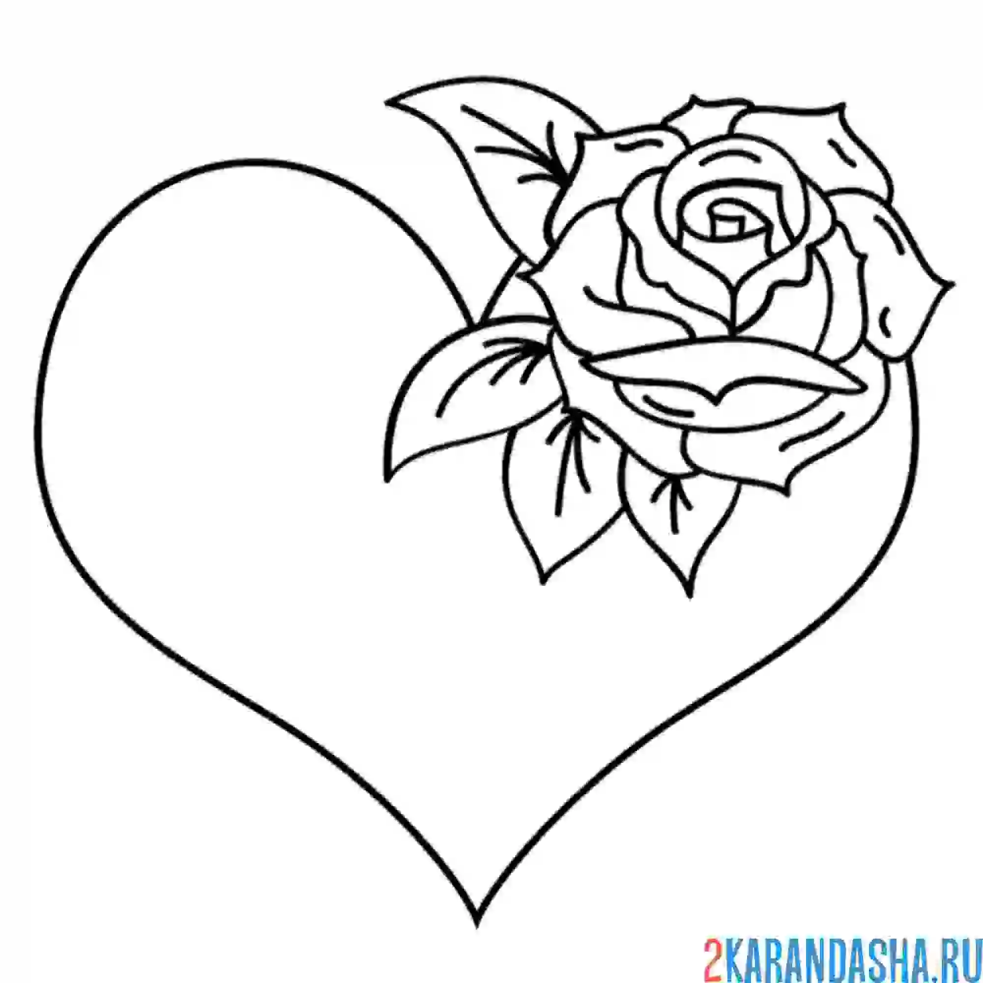 Раскраска сердце и роза