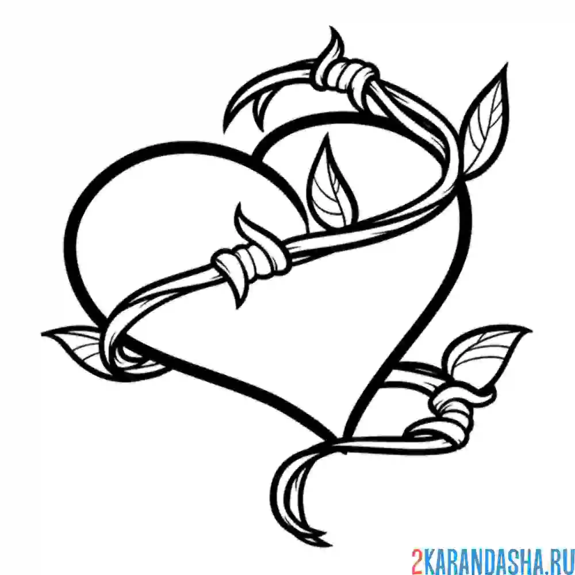 Раскраска колючее сердце