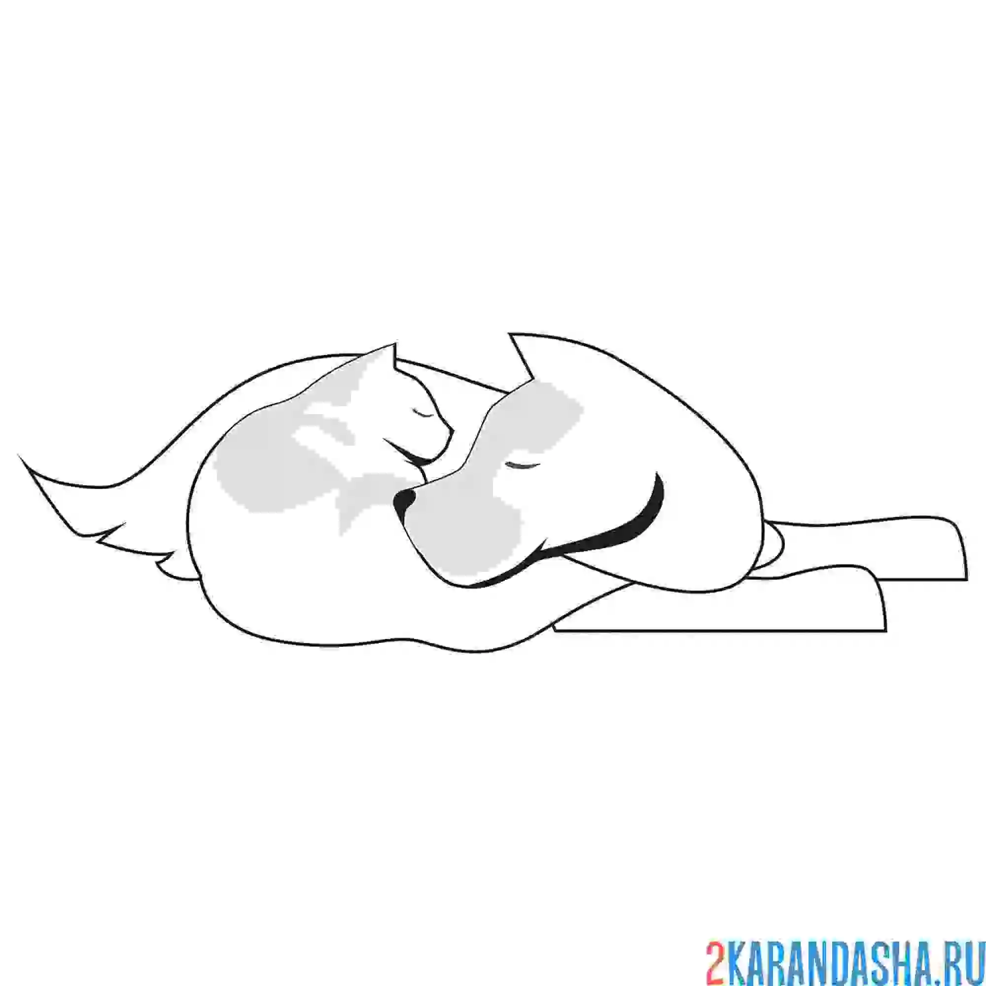 Раскраска кот и собака