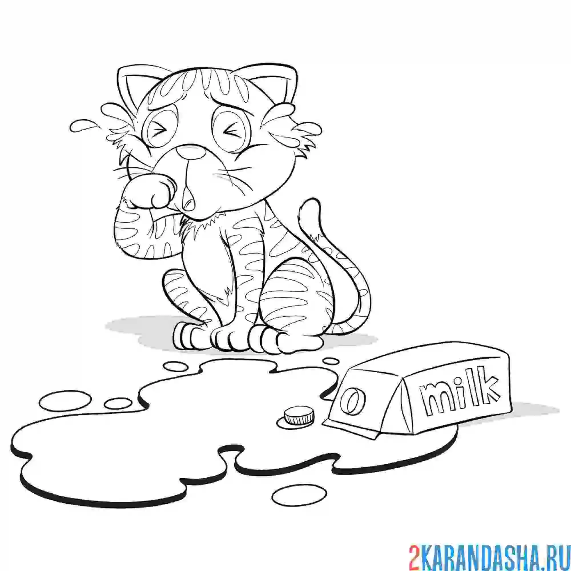 Раскраска кот разлил молоко