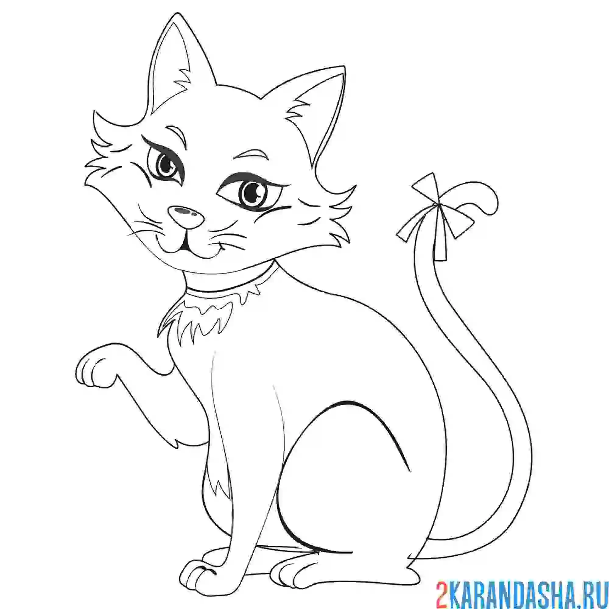 Раскраска красивая кошечка