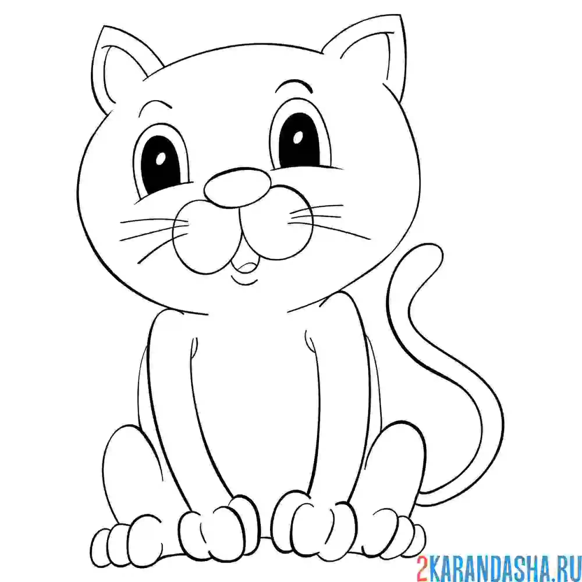 Раскраска котик