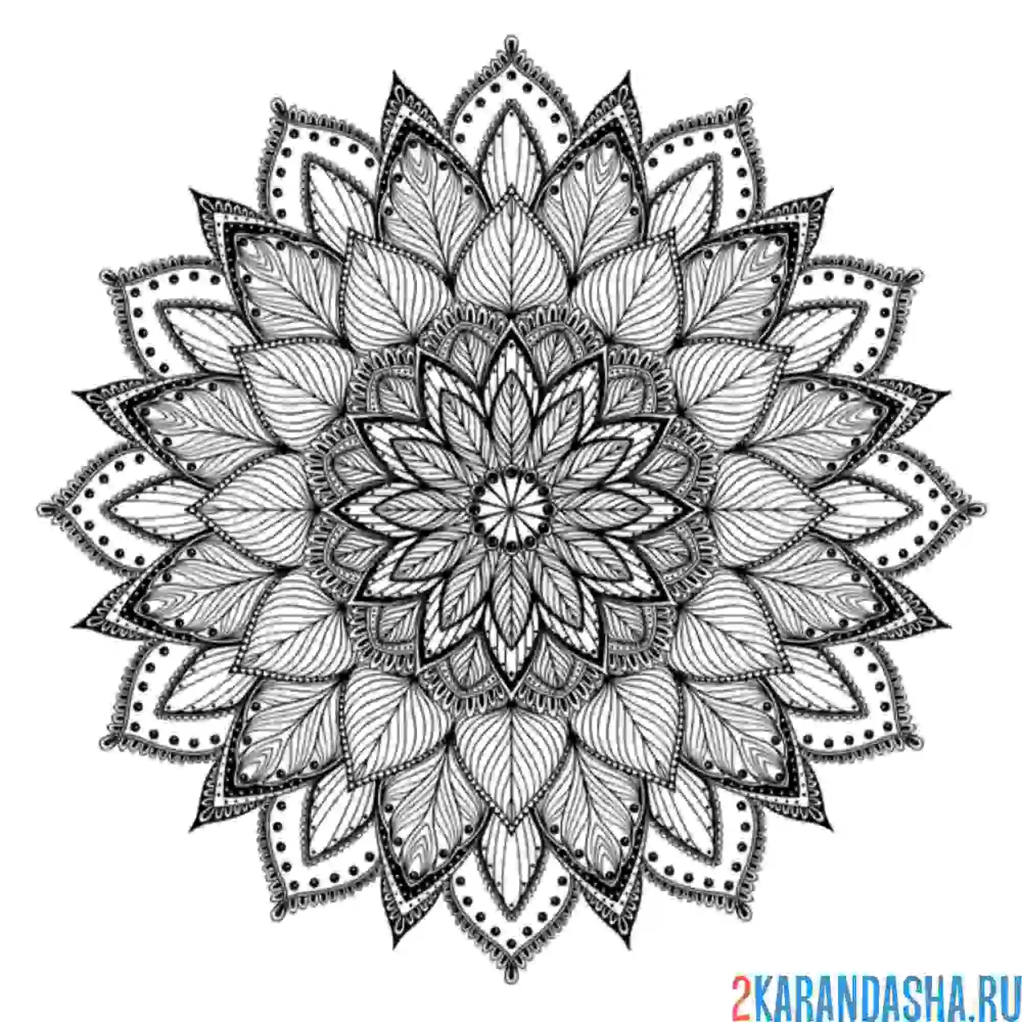 Раскраска мандала против страха