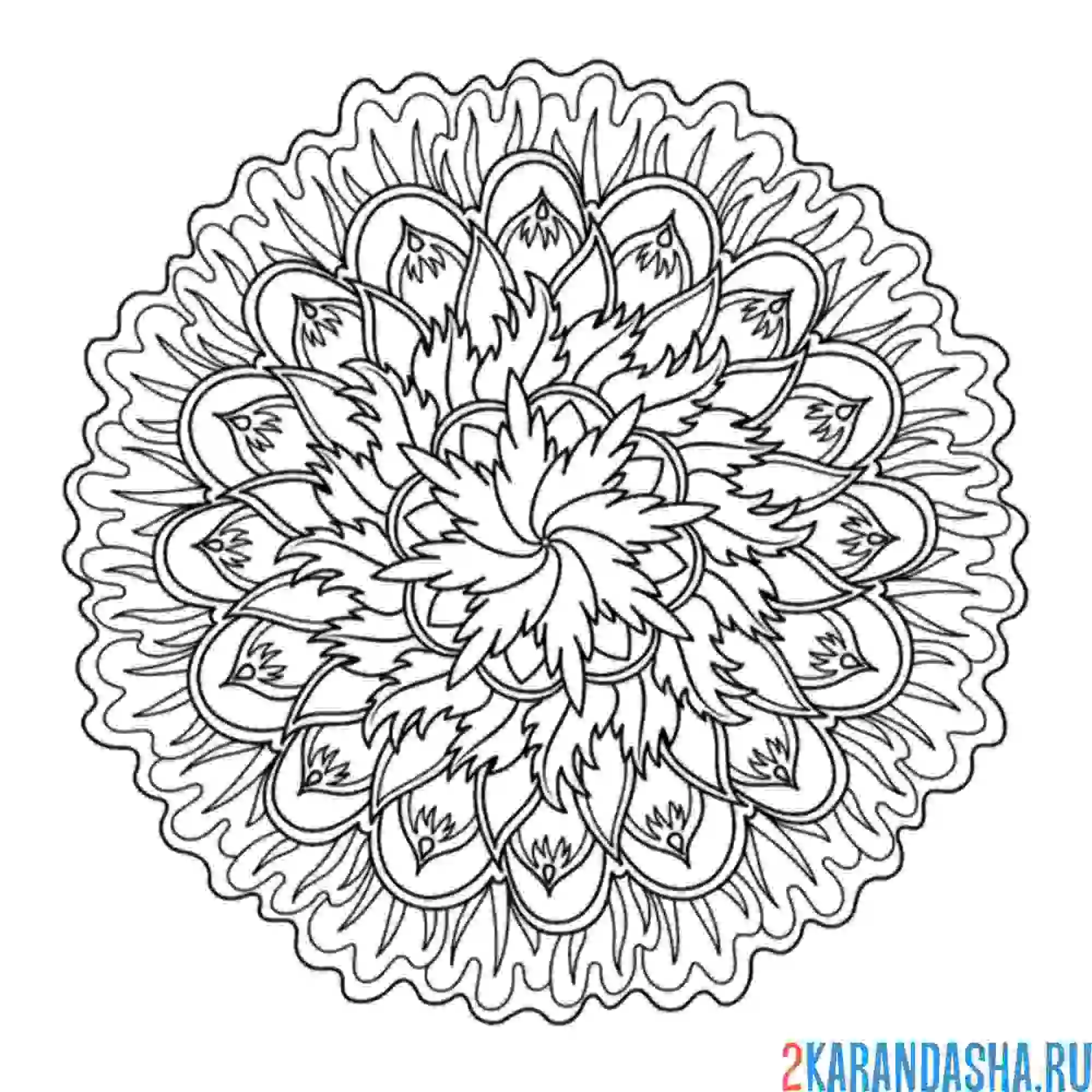 Раскраска мандала на хороший год