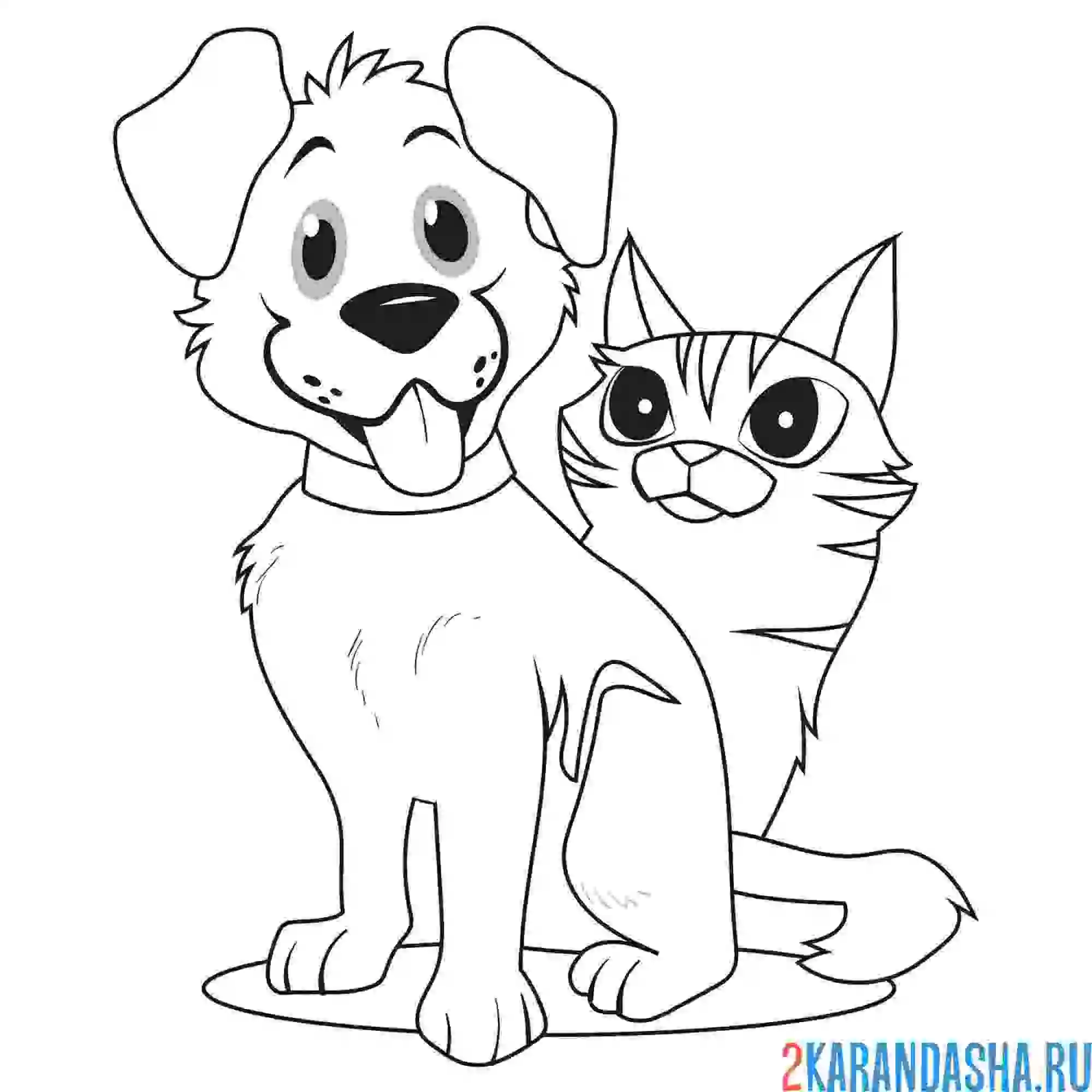 Раскраска котик и песик