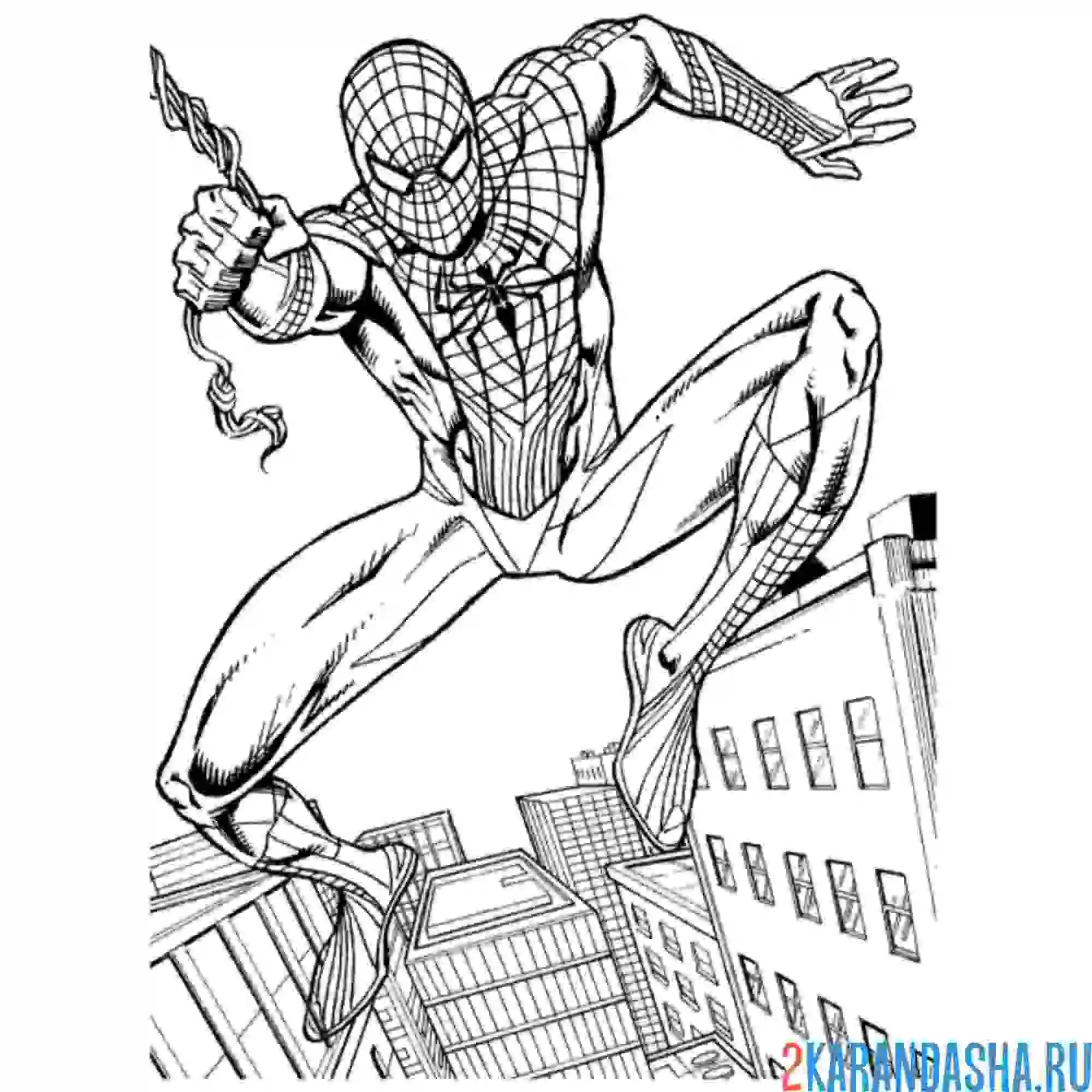 Раскраска летит между домов