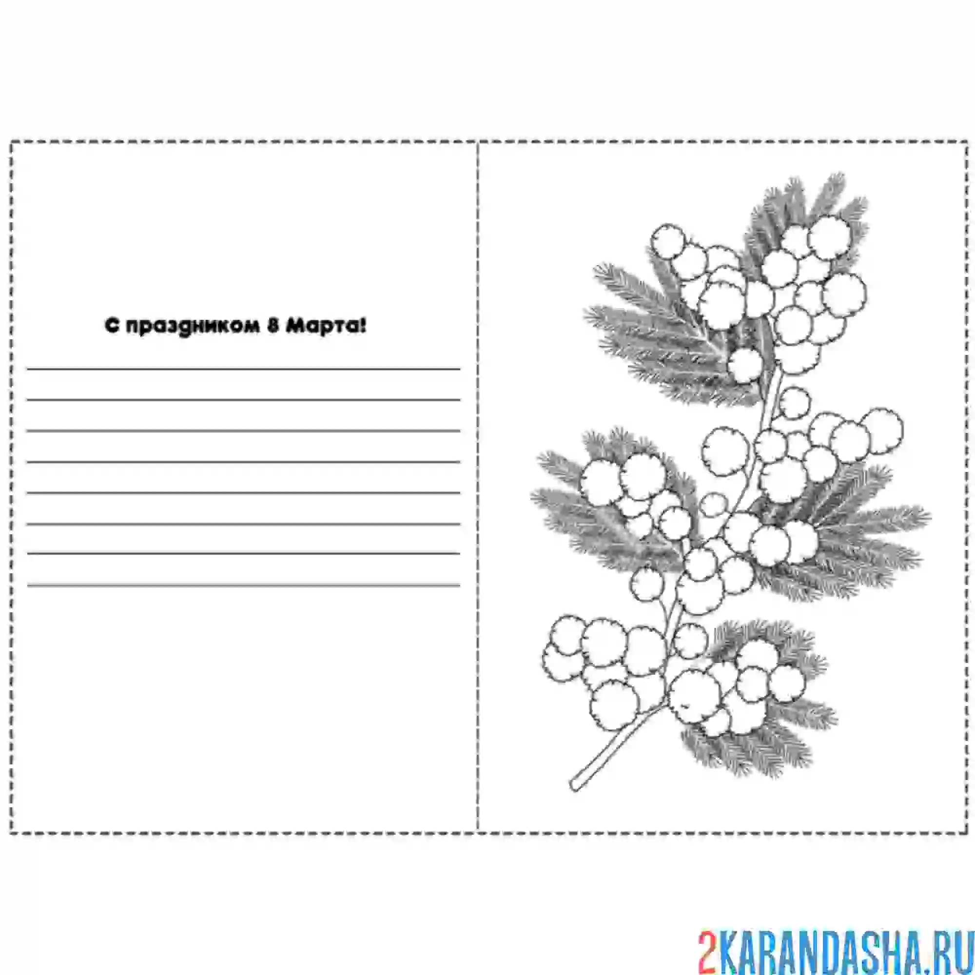 Раскраска 8 марта мимоза открытка