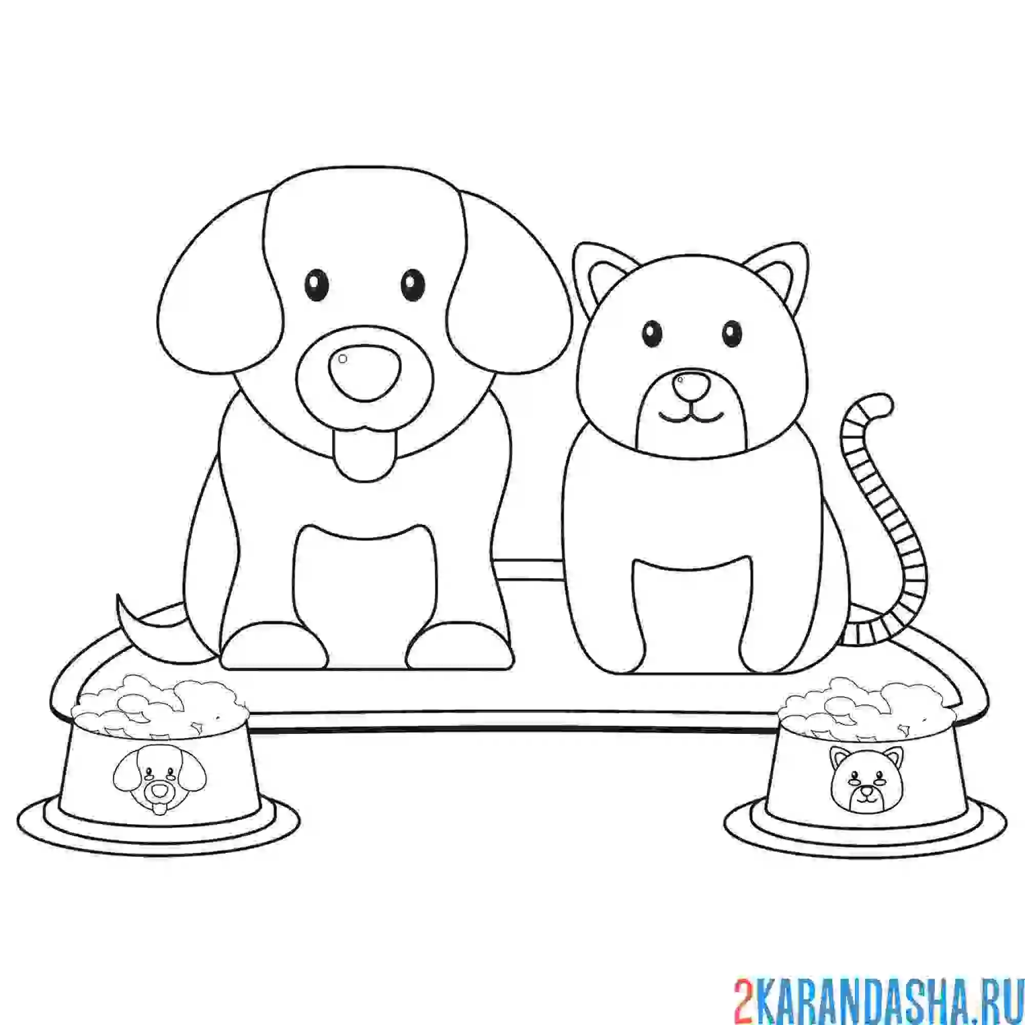 Раскраска собака и кот рядом с мисками