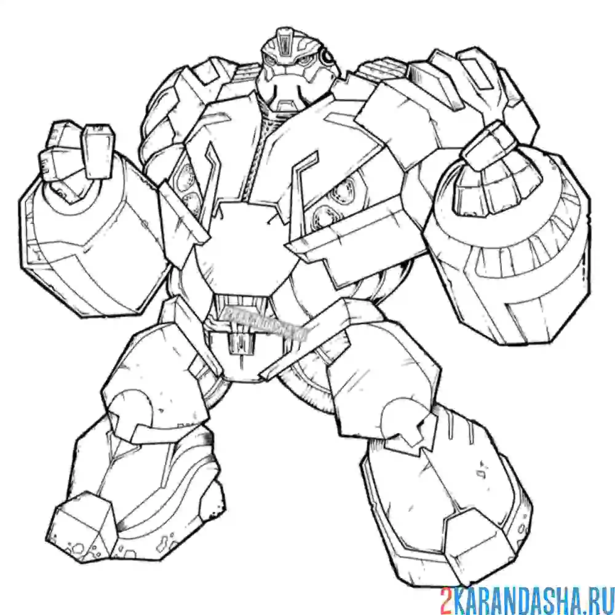 Раскраска балкхед