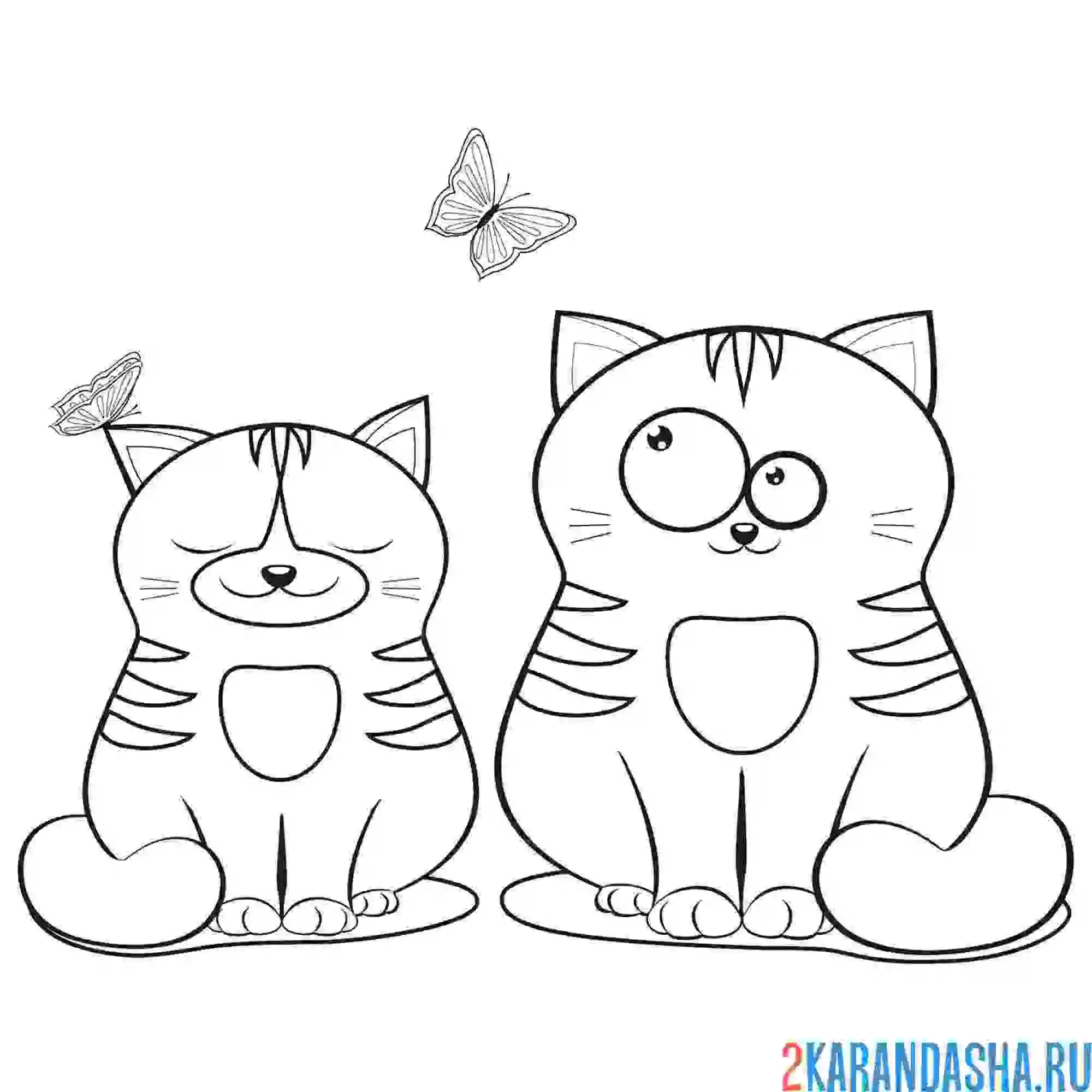 Раскраска кошечка и кот