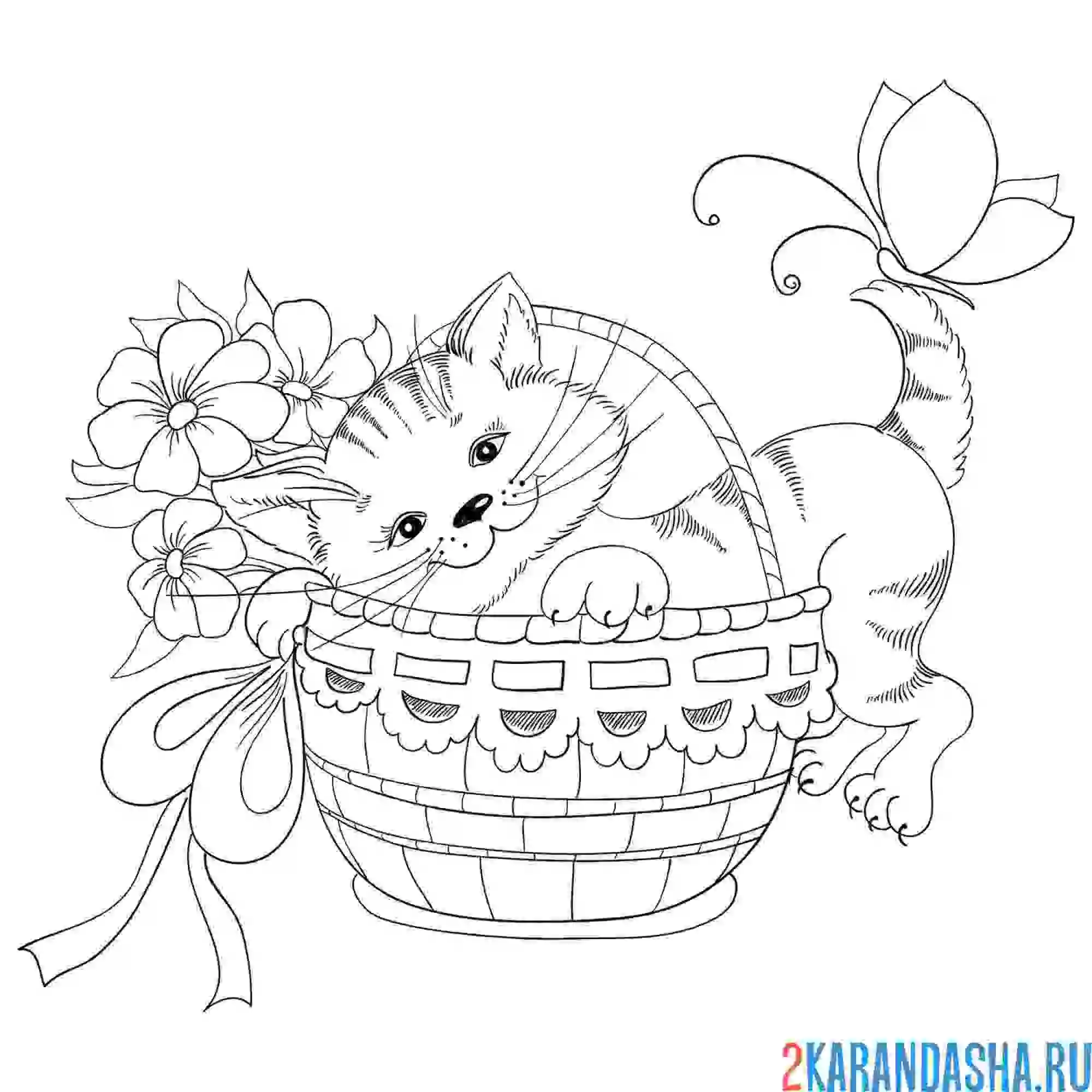 Раскраска котенок в корзинке
