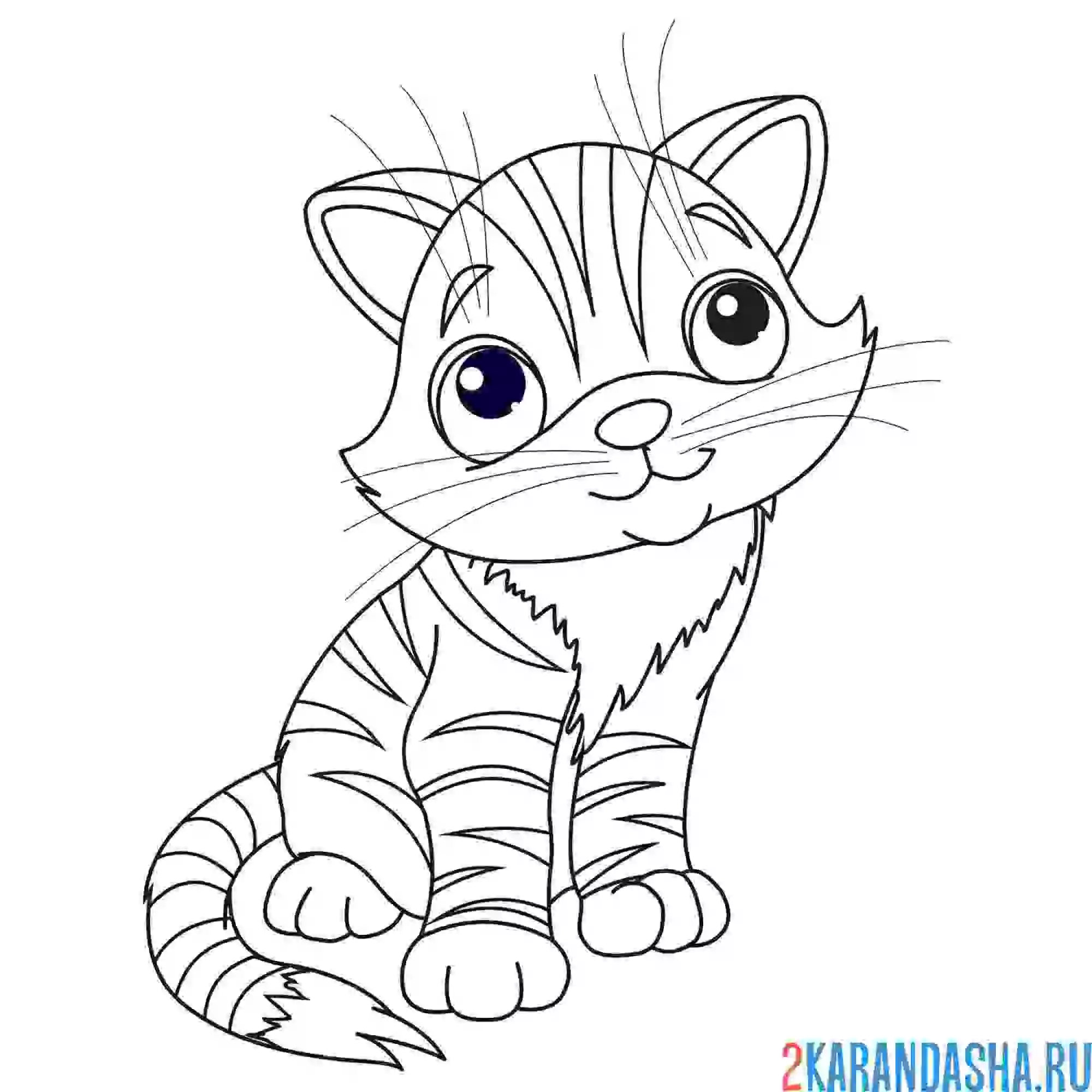 Раскраска полосатый котенок