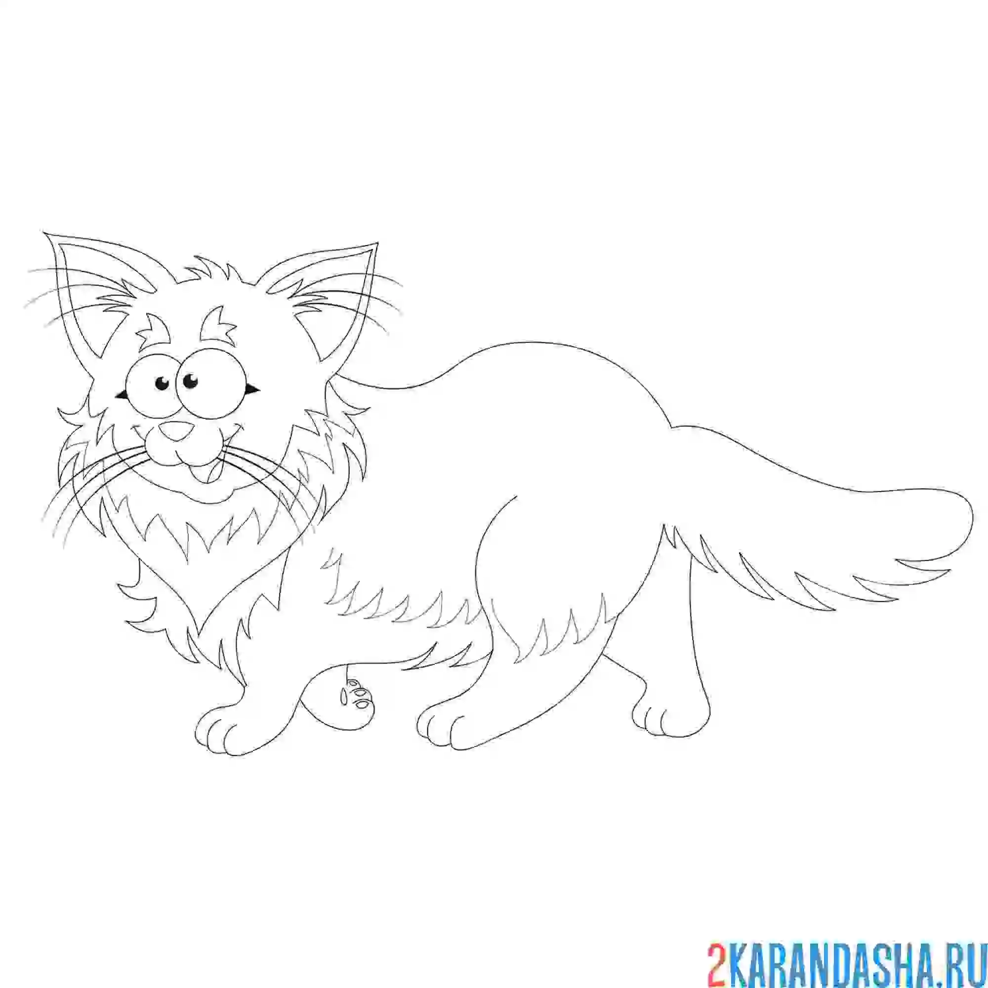 Раскраска пушистый кот