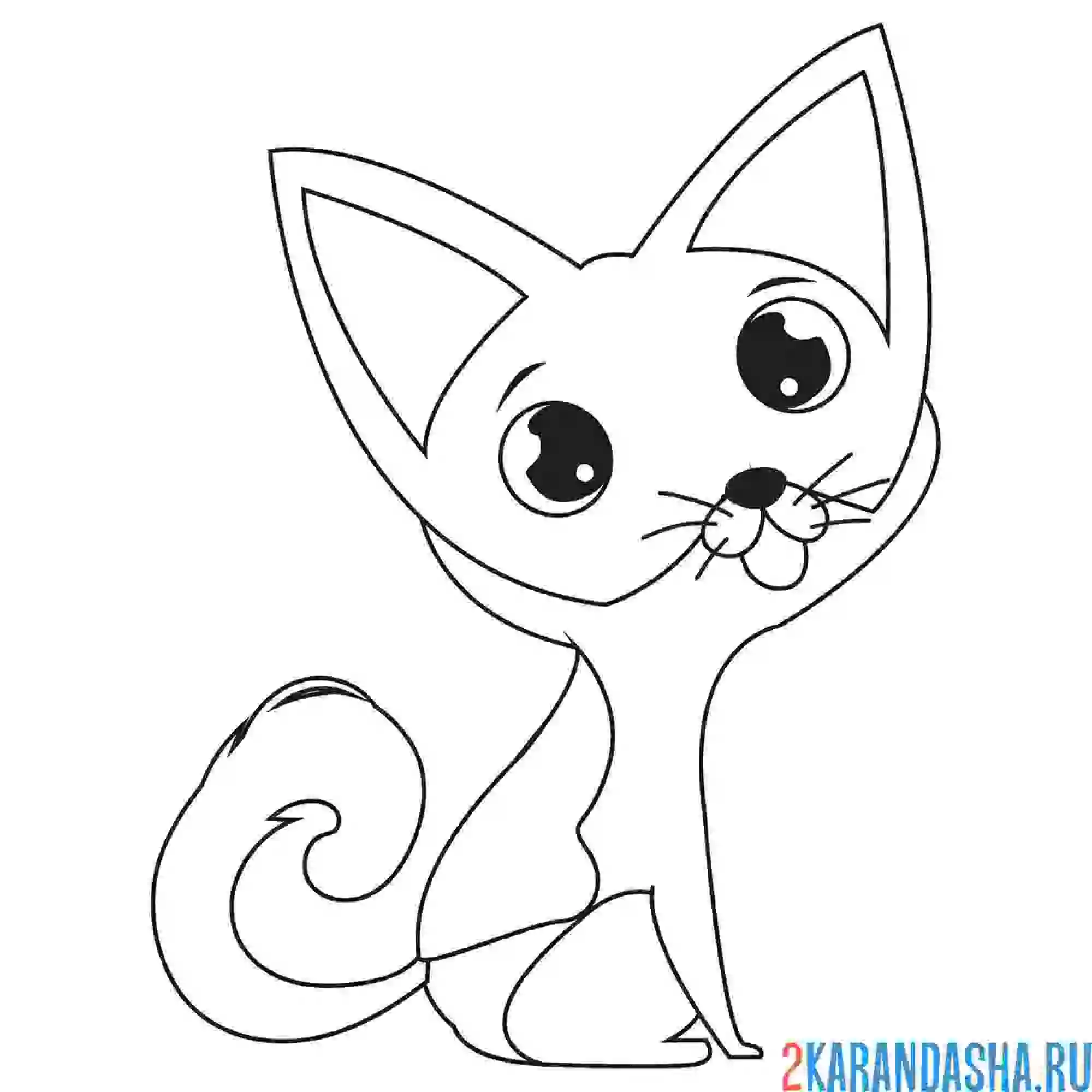 Раскраска котенок милый