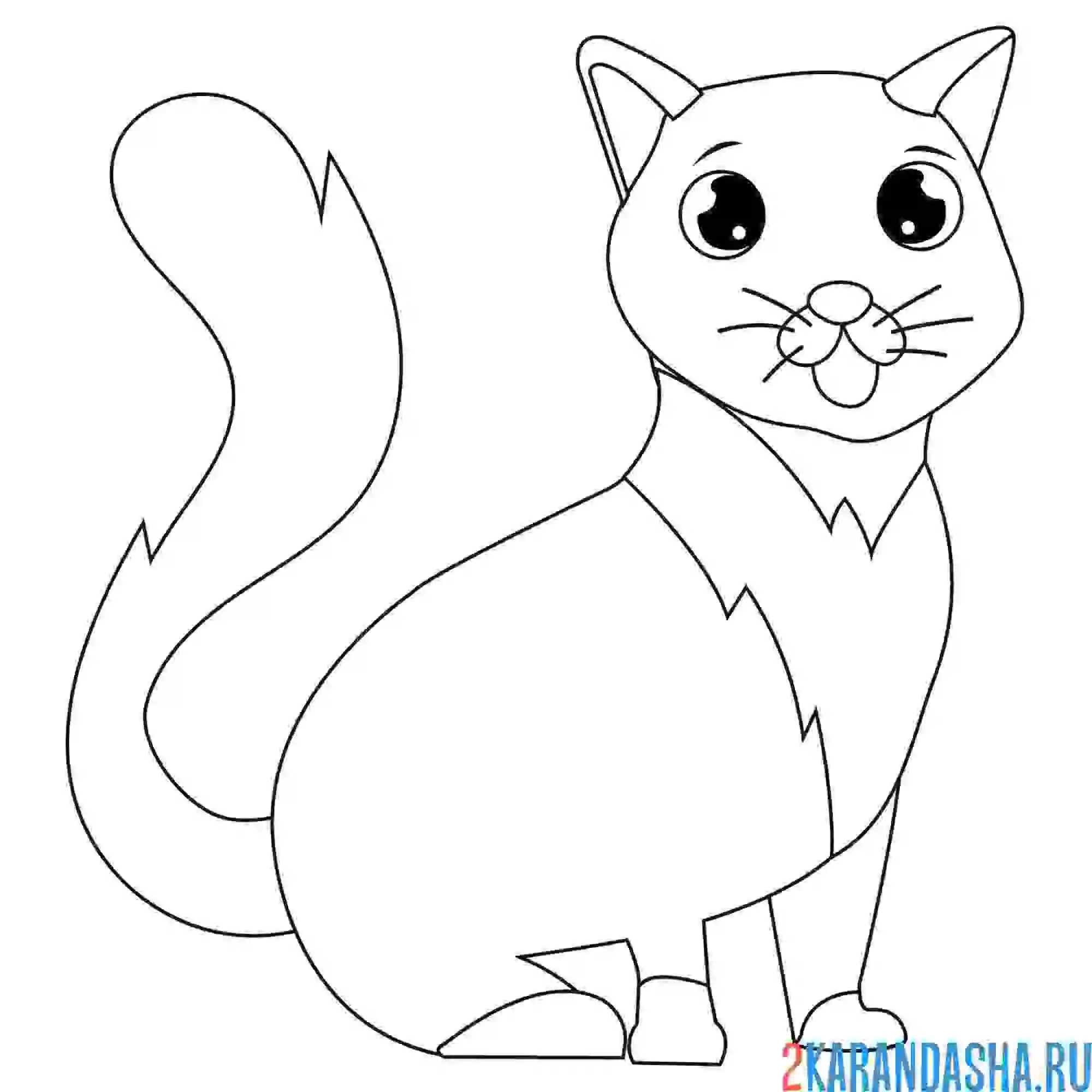 Раскраска кот с улицы