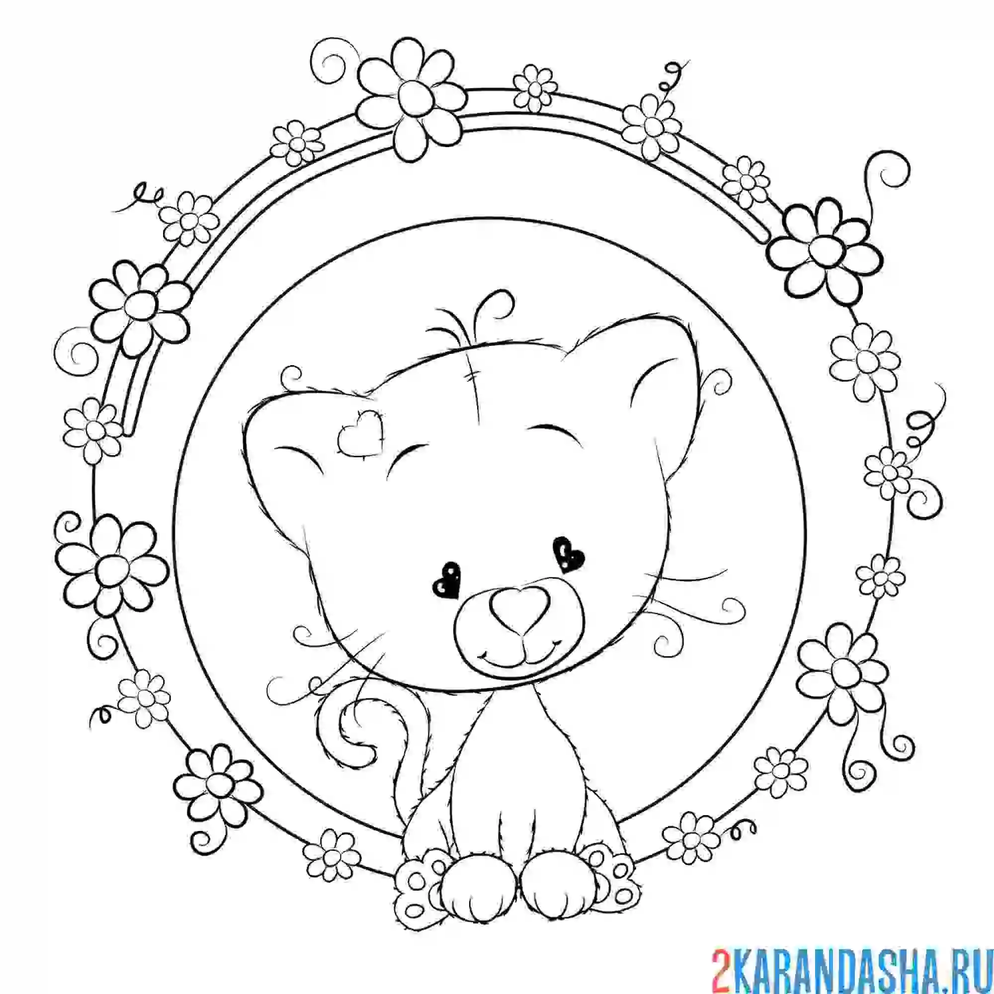 Раскраска котенок в цветочном круге