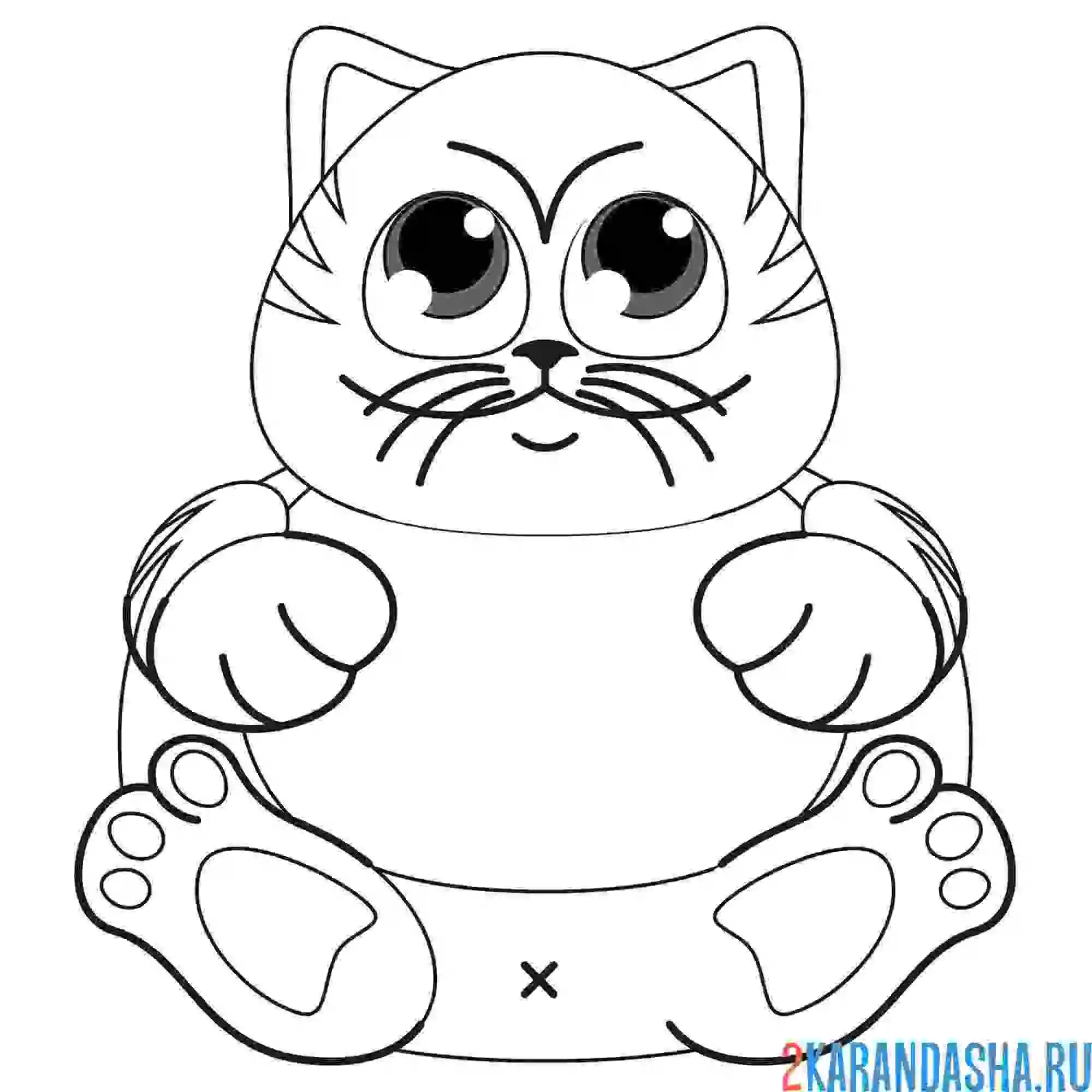 Раскраска серьезный кот